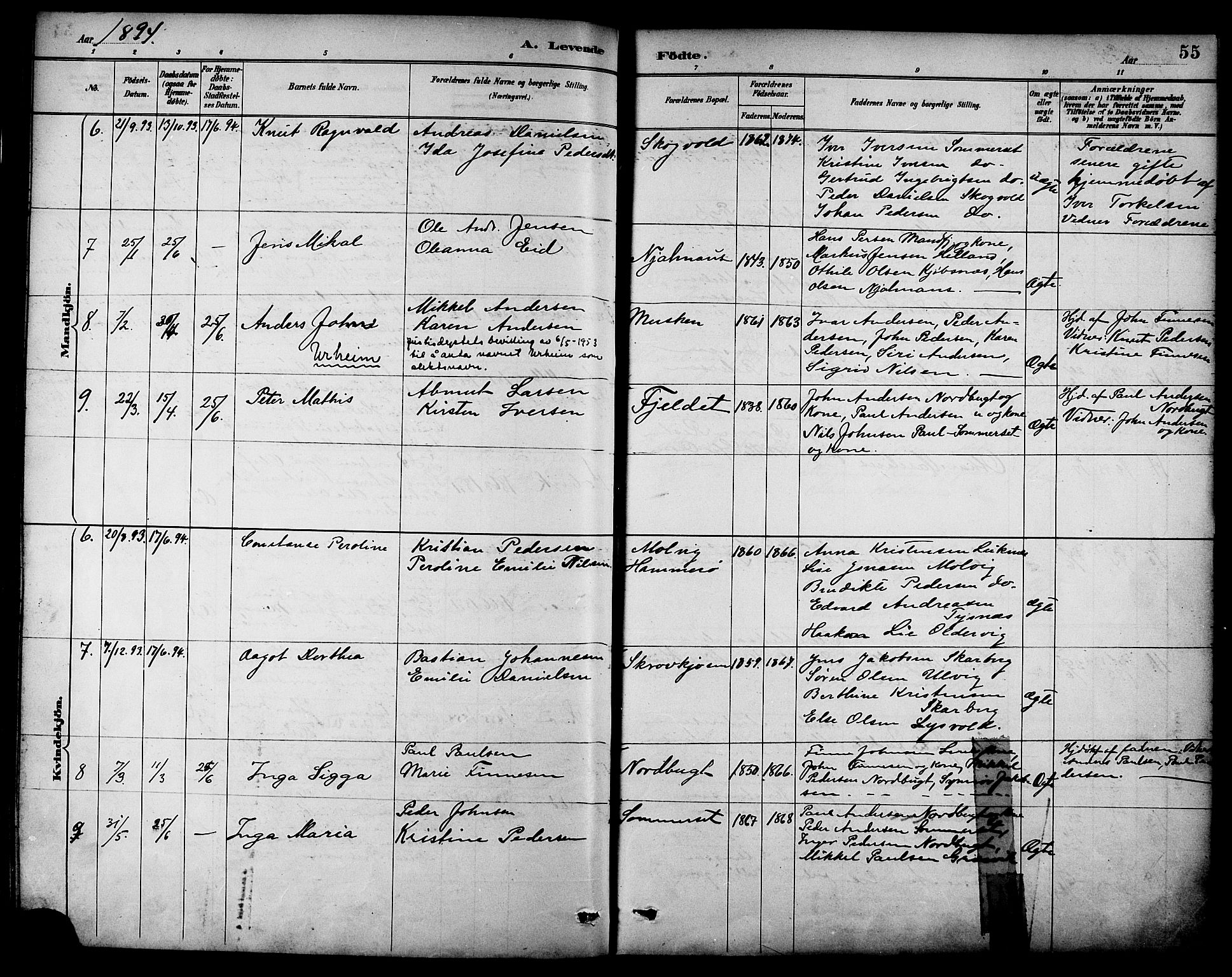 Ministerialprotokoller, klokkerbøker og fødselsregistre - Nordland, AV/SAT-A-1459/861/L0869: Parish register (official) no. 861A04, 1889-1903, p. 55