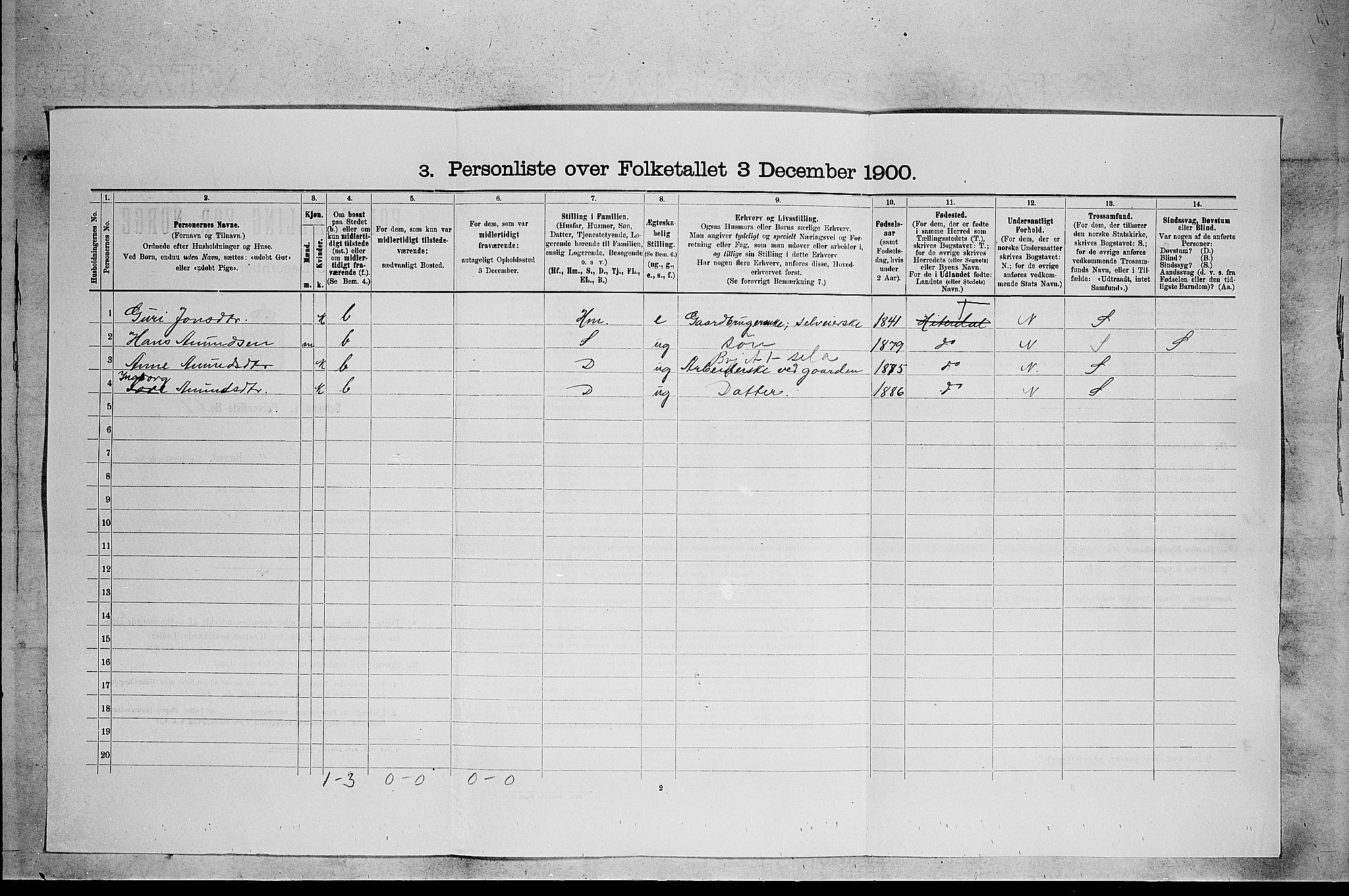 SAKO, 1900 census for Heddal, 1900, p. 51