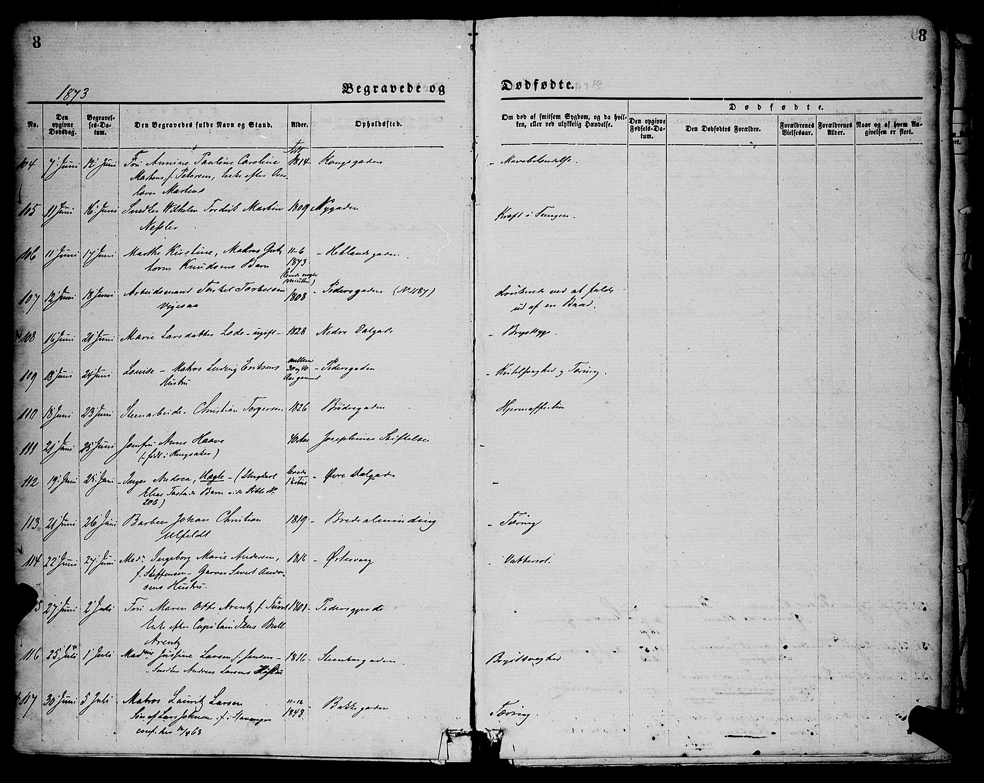 St. Petri sokneprestkontor, AV/SAST-A-101813/001/30/30BA/L0012: Parish register (official) no. A 12, 1873-1878, p. 8