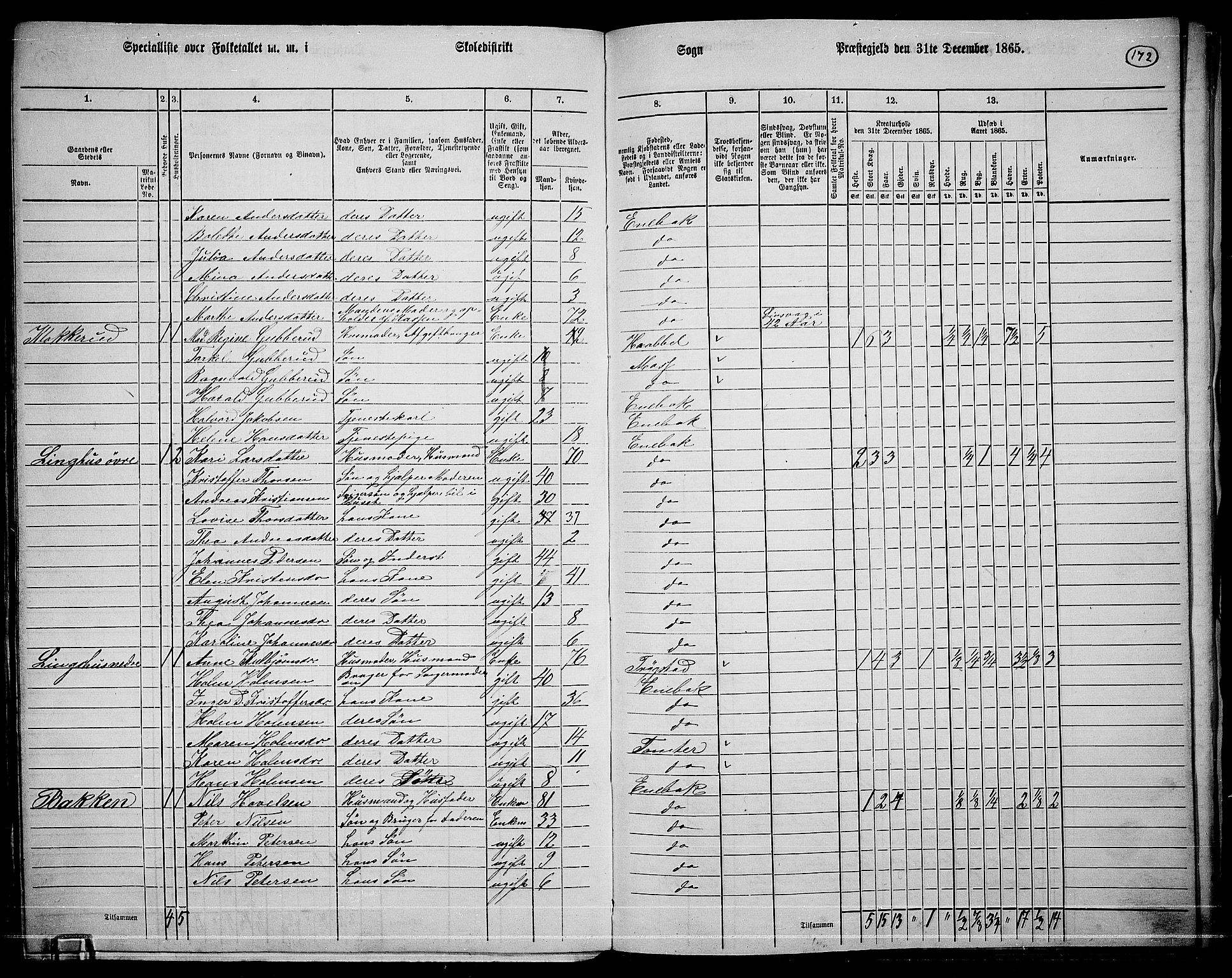 RA, 1865 census for Enebakk, 1865, p. 149