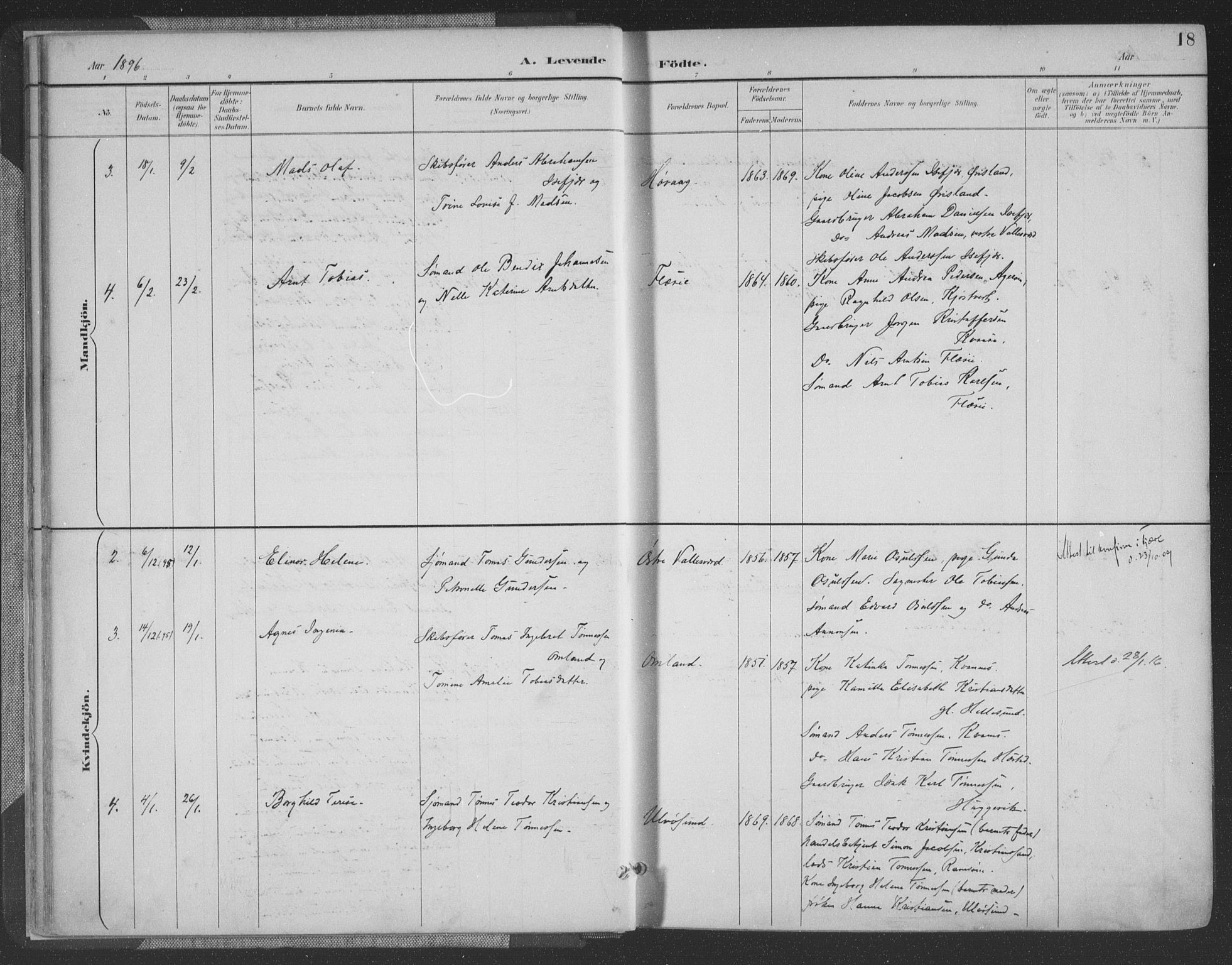 Høvåg sokneprestkontor, AV/SAK-1111-0025/F/Fa/L0006: Parish register (official) no. A 6, 1894-1923, p. 18