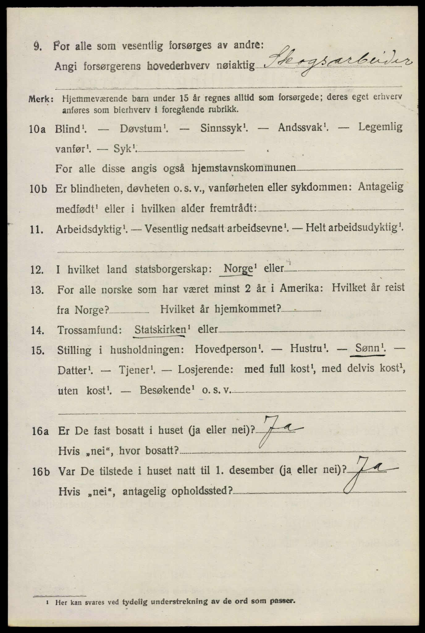 SAO, 1920 census for Nes, 1920, p. 6599