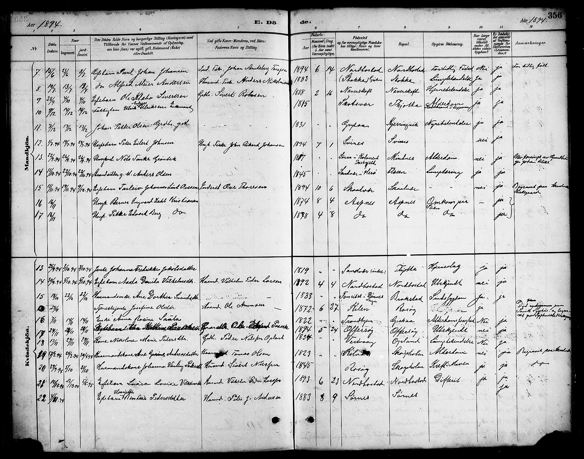 Ministerialprotokoller, klokkerbøker og fødselsregistre - Nordland, AV/SAT-A-1459/817/L0268: Parish register (copy) no. 817C03, 1884-1920, p. 356