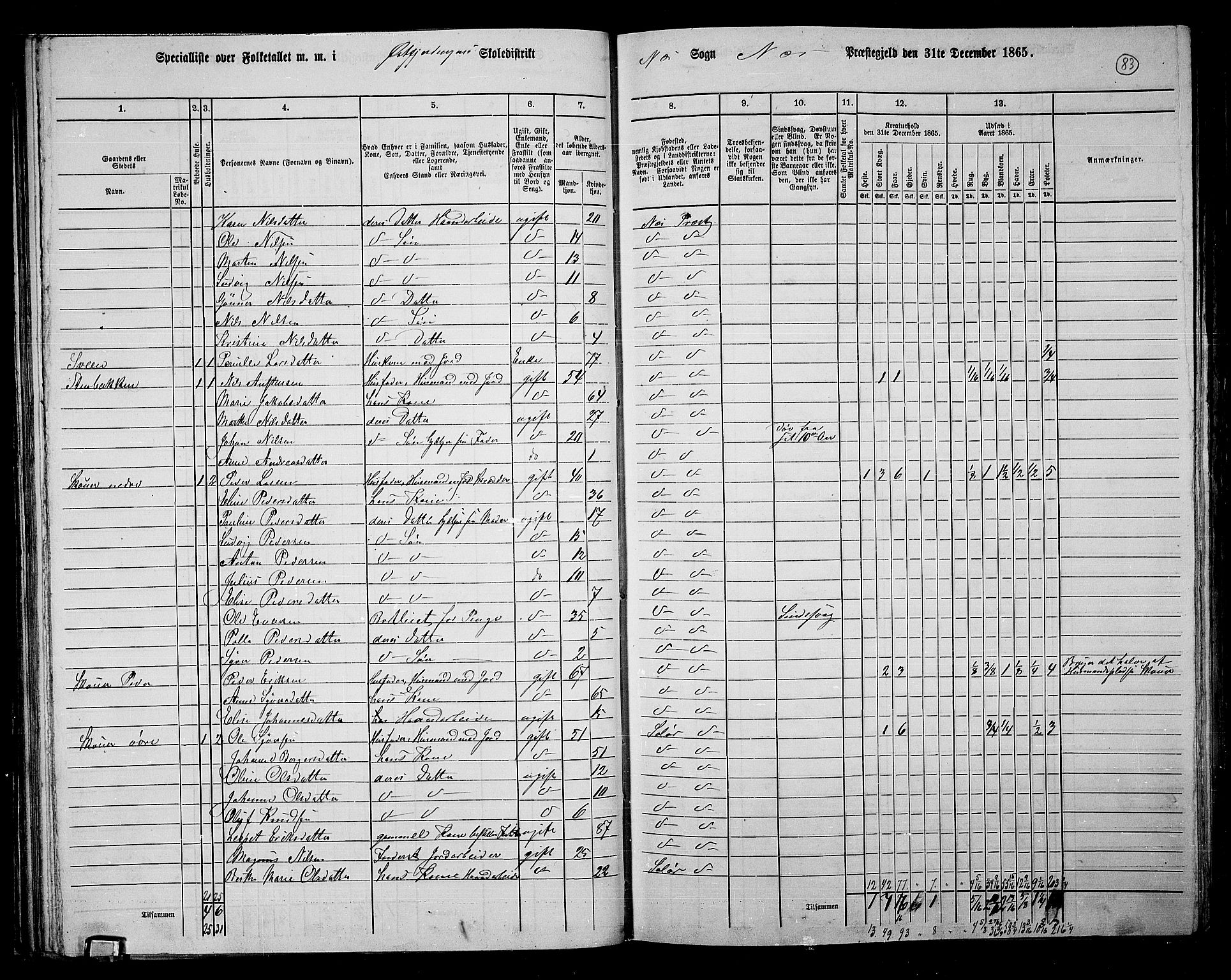 RA, 1865 census for Nes, 1865, p. 71