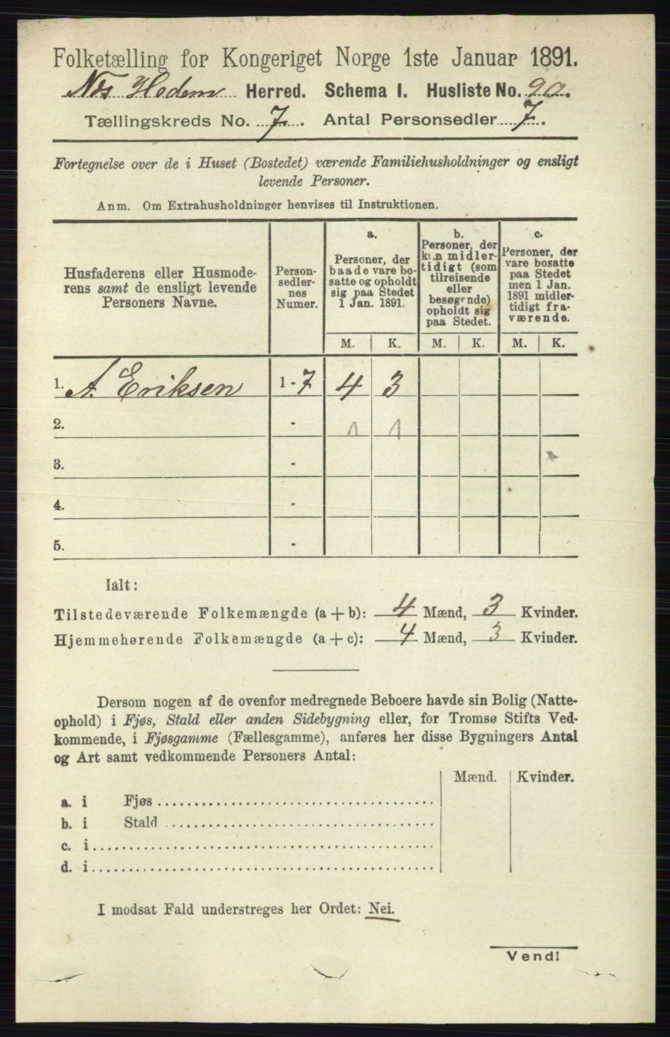 RA, 1891 census for 0411 Nes, 1891, p. 3919