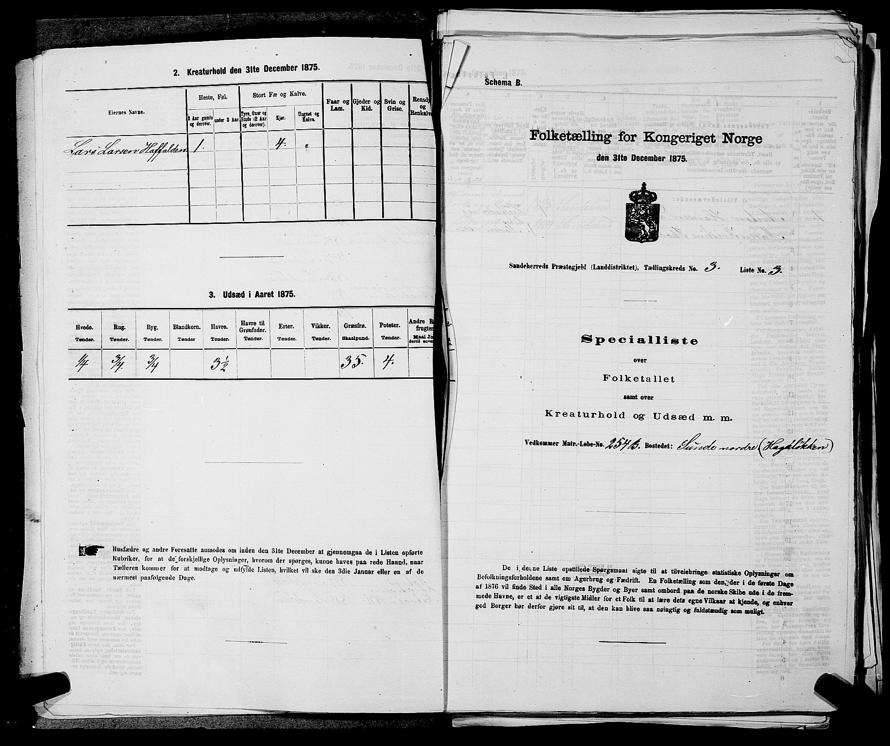 SAKO, 1875 census for 0724L Sandeherred/Sandeherred, 1875, p. 696