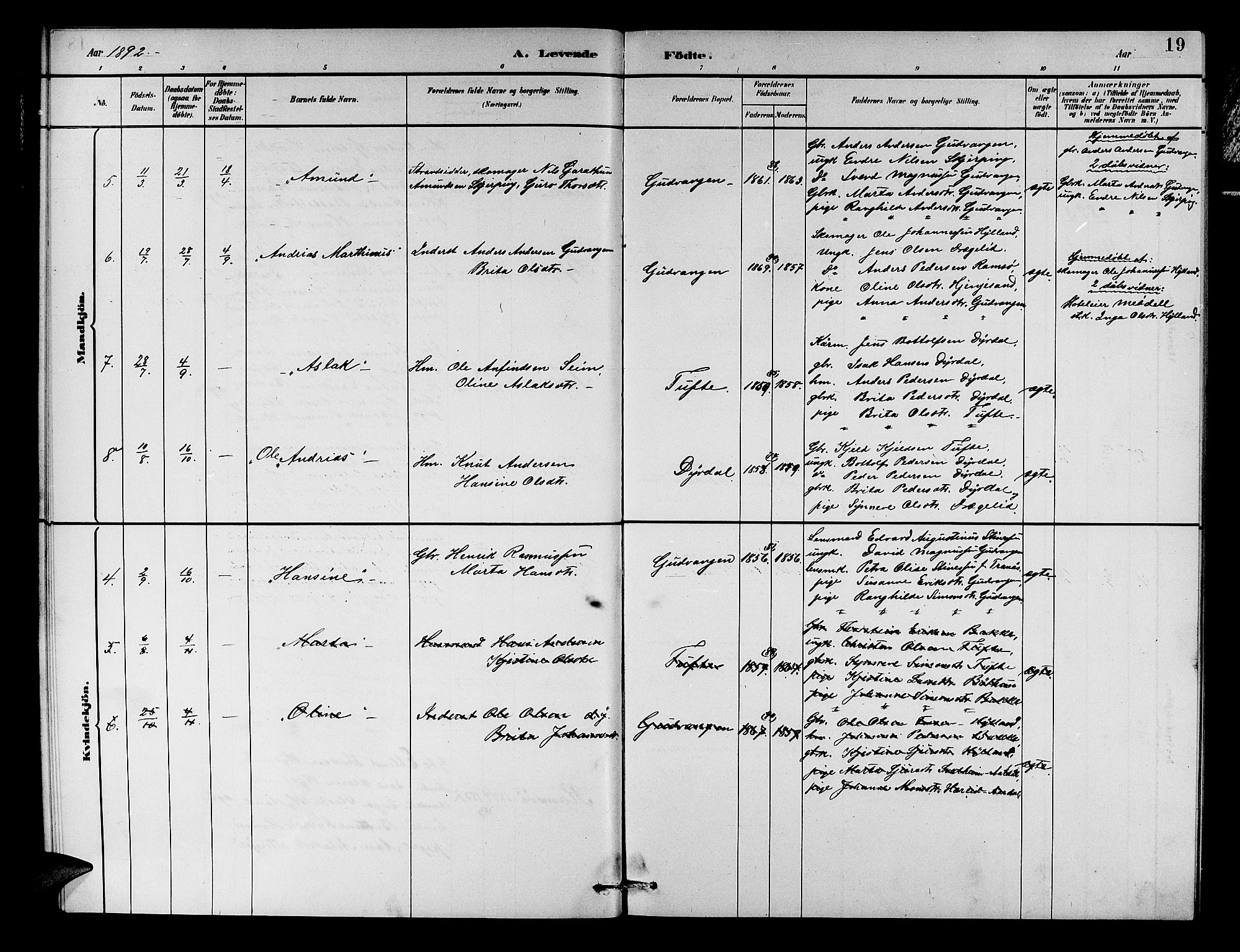 Aurland sokneprestembete, SAB/A-99937/H/Hb/Hbc/L0002: Parish register (copy) no. C 2, 1883-1900, p. 19