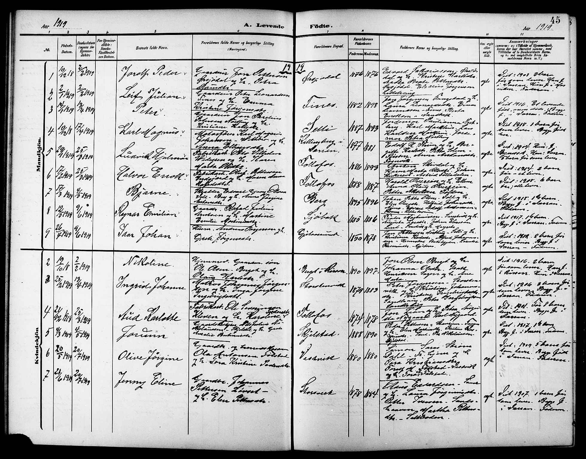 Ministerialprotokoller, klokkerbøker og fødselsregistre - Nord-Trøndelag, SAT/A-1458/744/L0424: Parish register (copy) no. 744C03, 1906-1923, p. 45