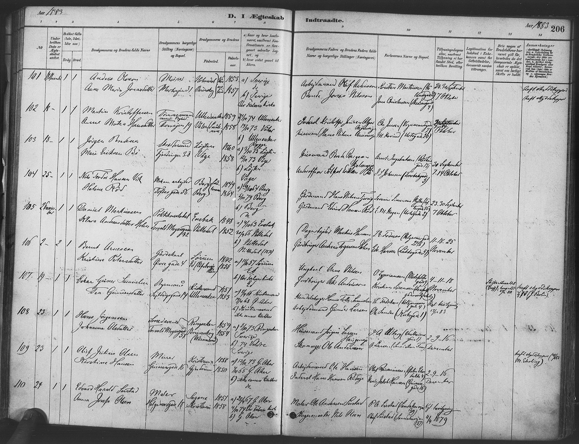 Paulus prestekontor Kirkebøker, AV/SAO-A-10871/F/Fa/L0004: Parish register (official) no. 4, 1879-1891, p. 206