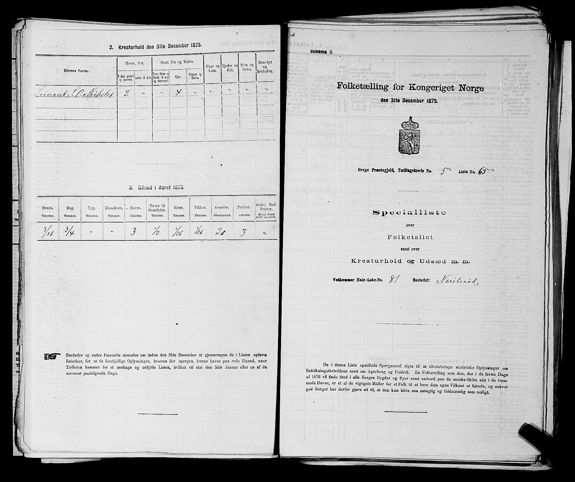 RA, 1875 census for 0116P Berg, 1875, p. 695