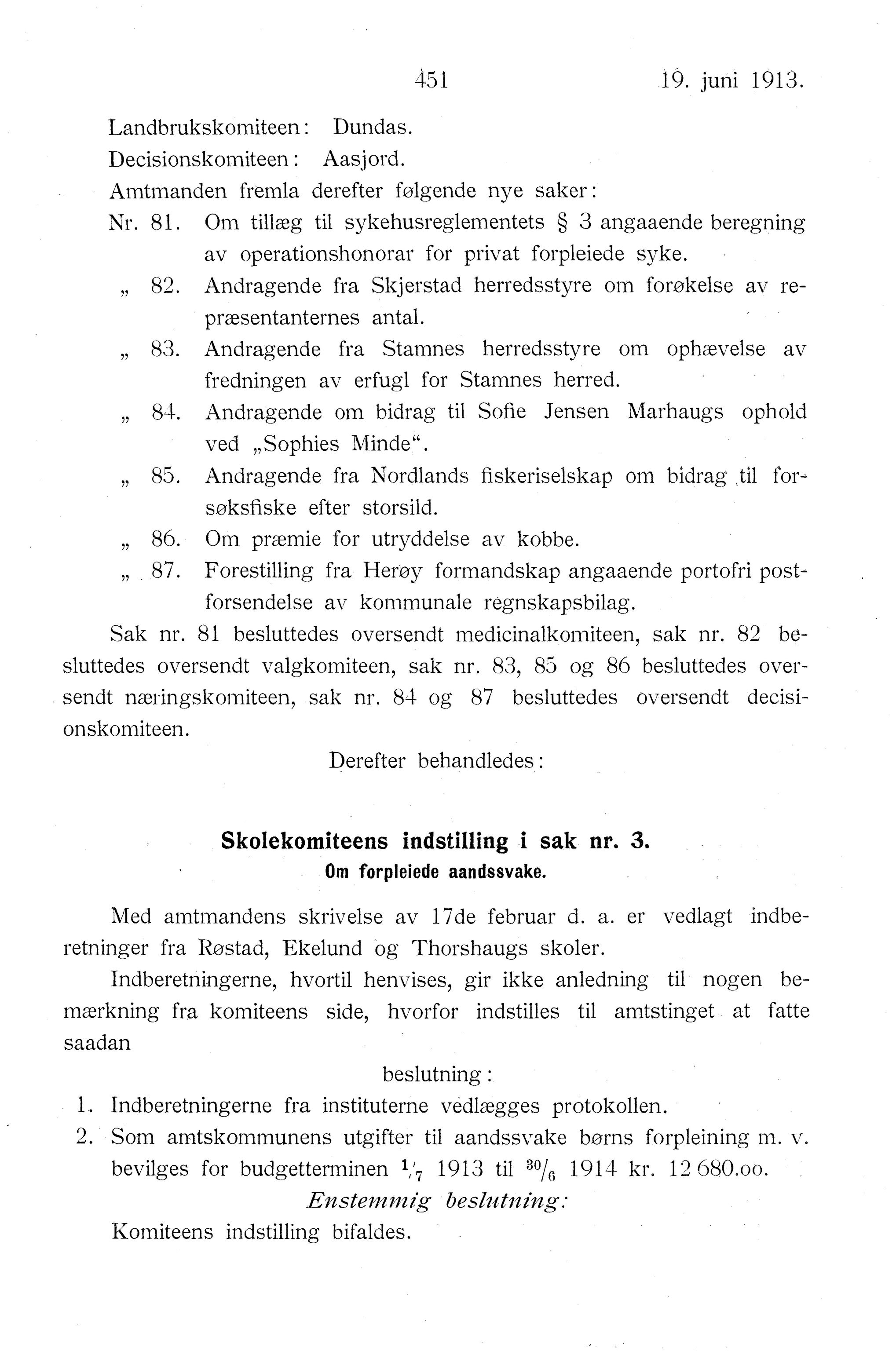 Nordland Fylkeskommune. Fylkestinget, AIN/NFK-17/176/A/Ac/L0036: Fylkestingsforhandlinger 1913, 1913