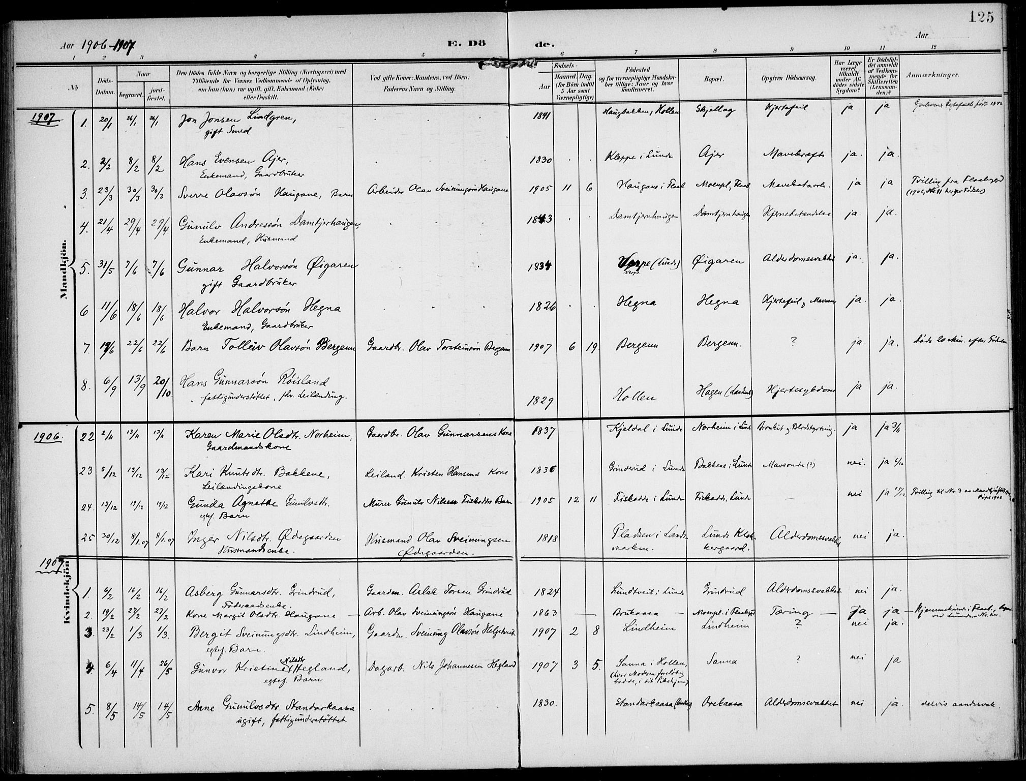 Lunde kirkebøker, AV/SAKO-A-282/F/Fa/L0004: Parish register (official) no. I 4, 1902-1913, p. 125