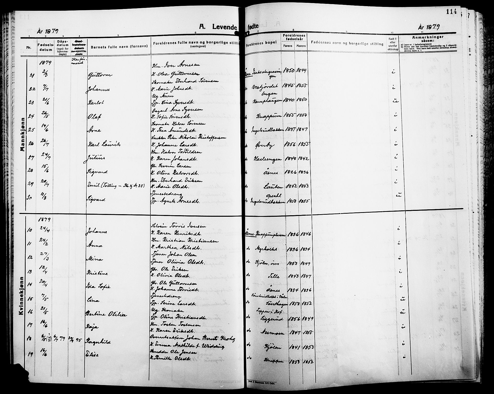 Åsnes prestekontor, AV/SAH-PREST-042/H/Ha/Haa/L0000B: Parish register (official), 1870-1889, p. 114