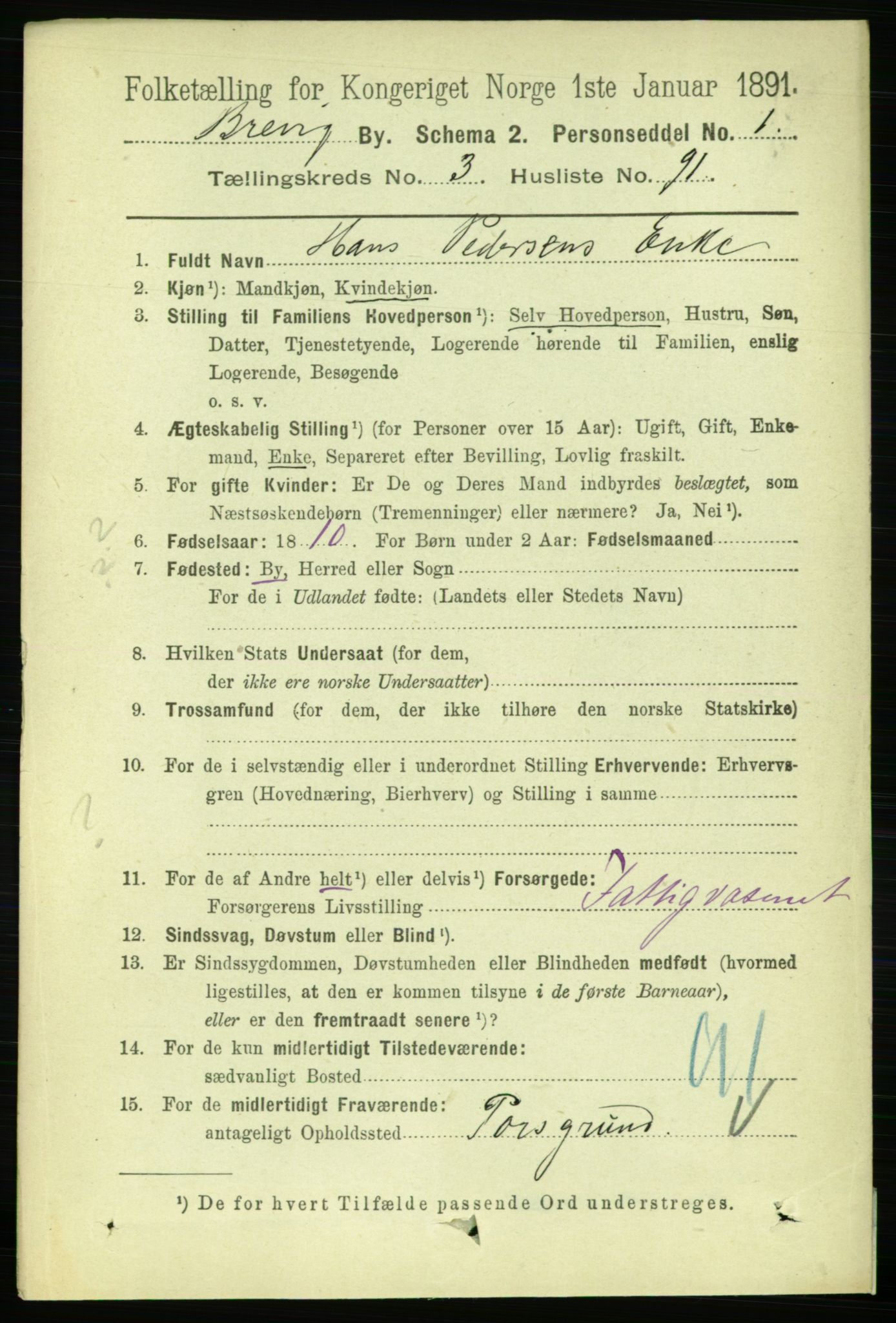 RA, 1891 census for 0804 Brevik, 1891, p. 2696