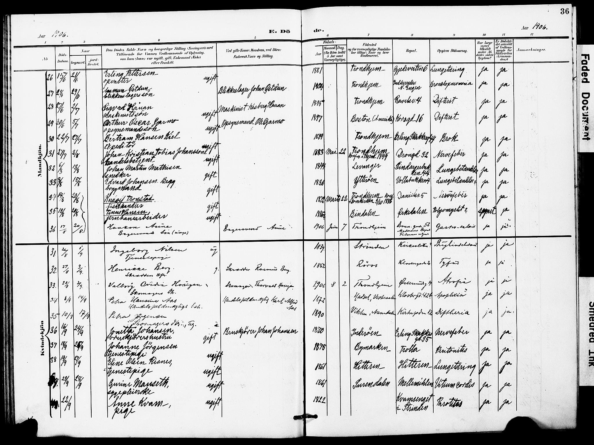 Ministerialprotokoller, klokkerbøker og fødselsregistre - Sør-Trøndelag, AV/SAT-A-1456/628/L0483: Parish register (official) no. 628A01, 1902-1920, p. 36