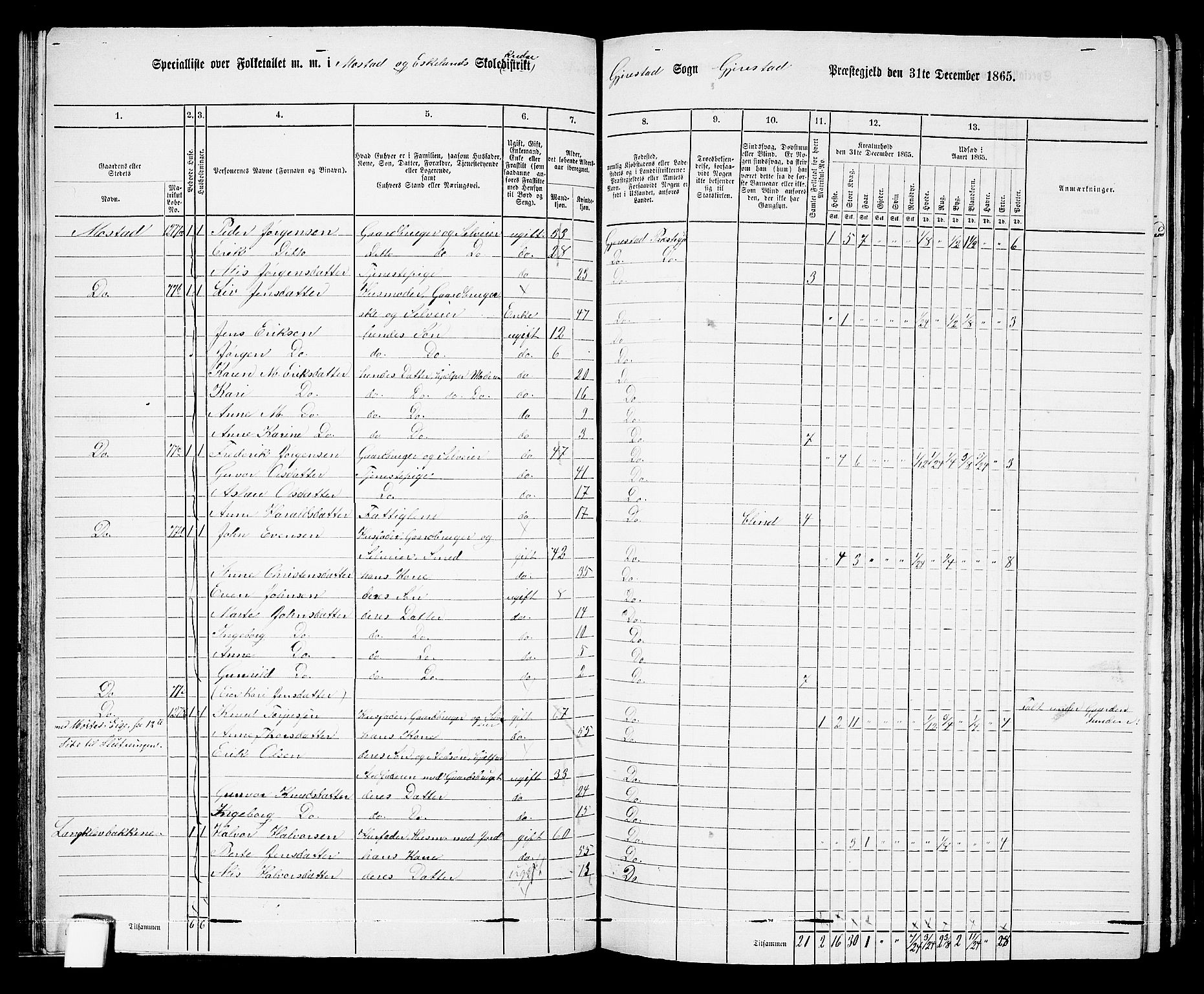 RA, 1865 census for Gjerstad, 1865, p. 63