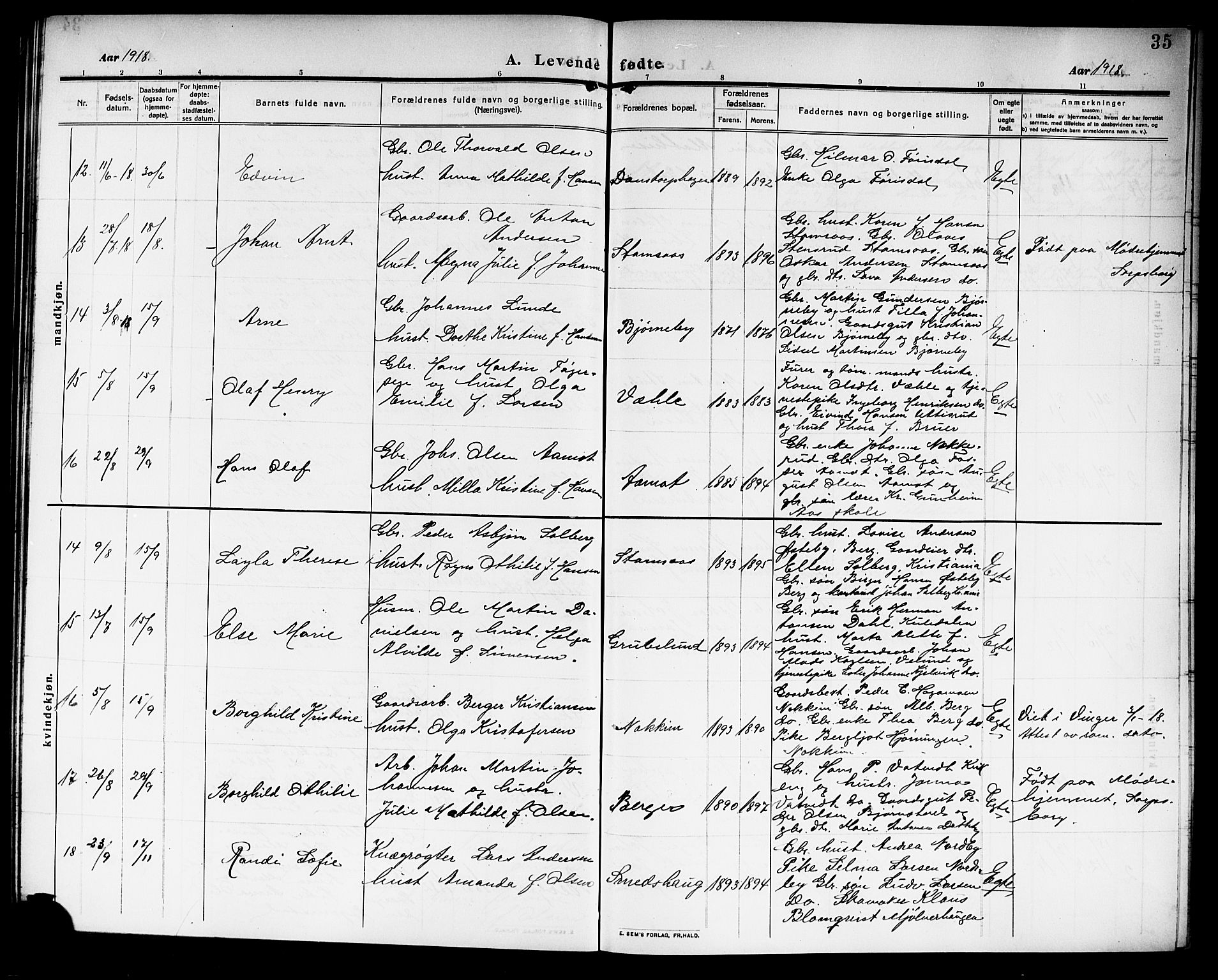 Rakkestad prestekontor Kirkebøker, AV/SAO-A-2008/G/Gb/L0002: Parish register (copy) no. II 2, 1909-1920, p. 35