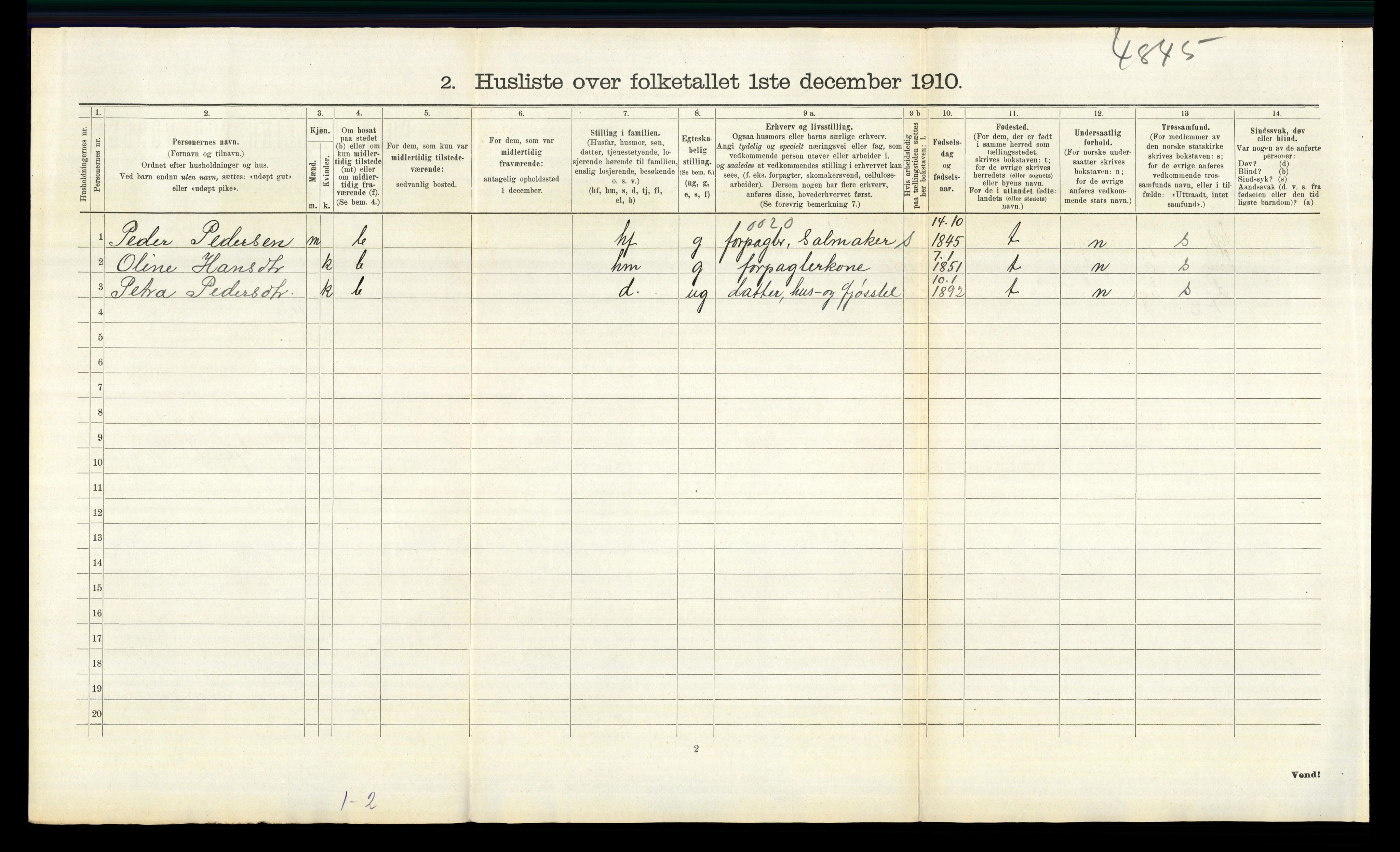 RA, 1910 census for Sør-Odal, 1910, p. 215