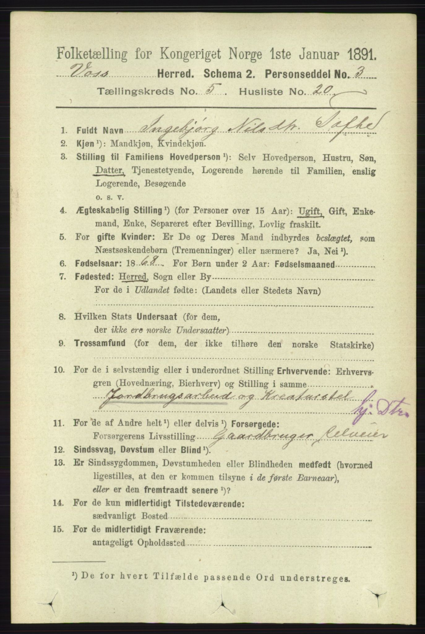 RA, 1891 census for 1235 Voss, 1891, p. 2819