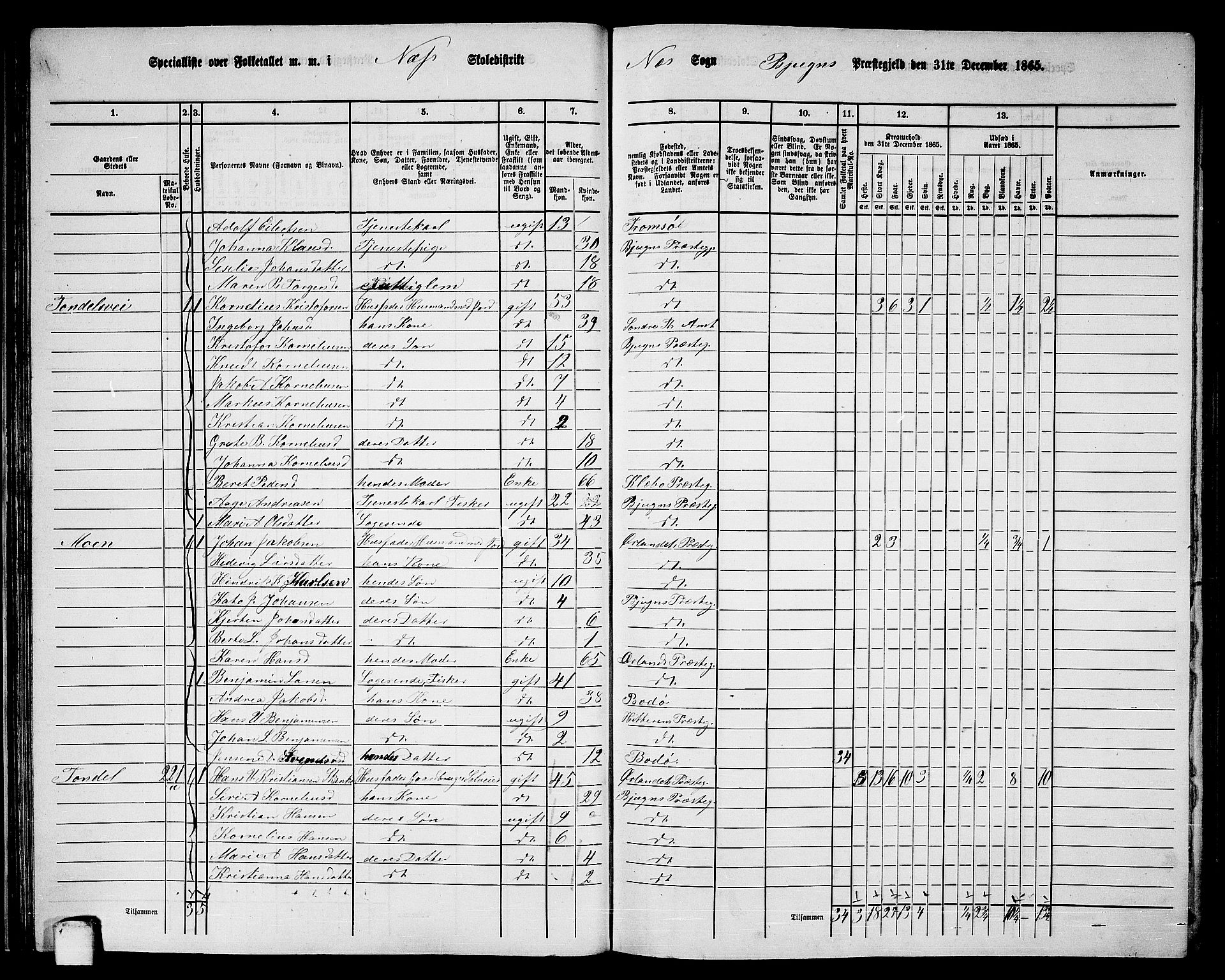 RA, 1865 census for Bjugn, 1865, p. 39