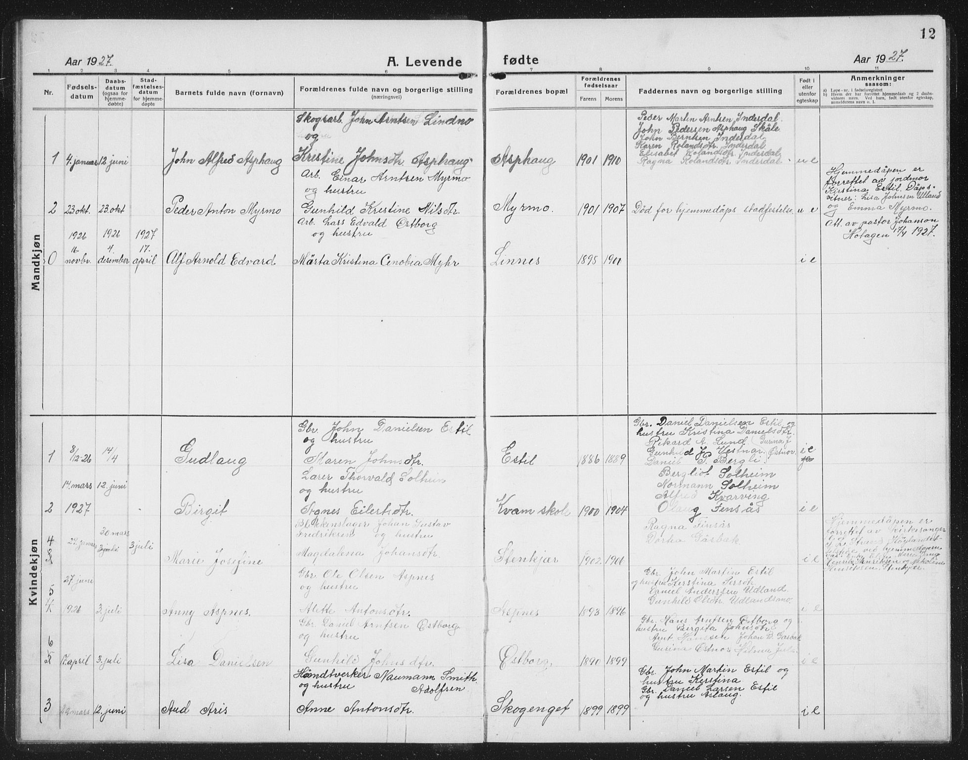 Ministerialprotokoller, klokkerbøker og fødselsregistre - Nord-Trøndelag, AV/SAT-A-1458/757/L0507: Parish register (copy) no. 757C02, 1923-1939, p. 12