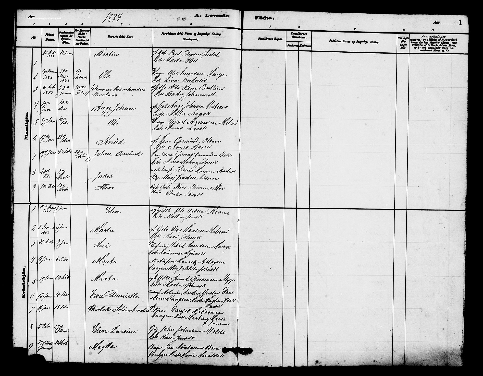 Hjelmeland sokneprestkontor, AV/SAST-A-101843/01/V/L0007: Parish register (copy) no. B 7, 1880-1909, p. 1