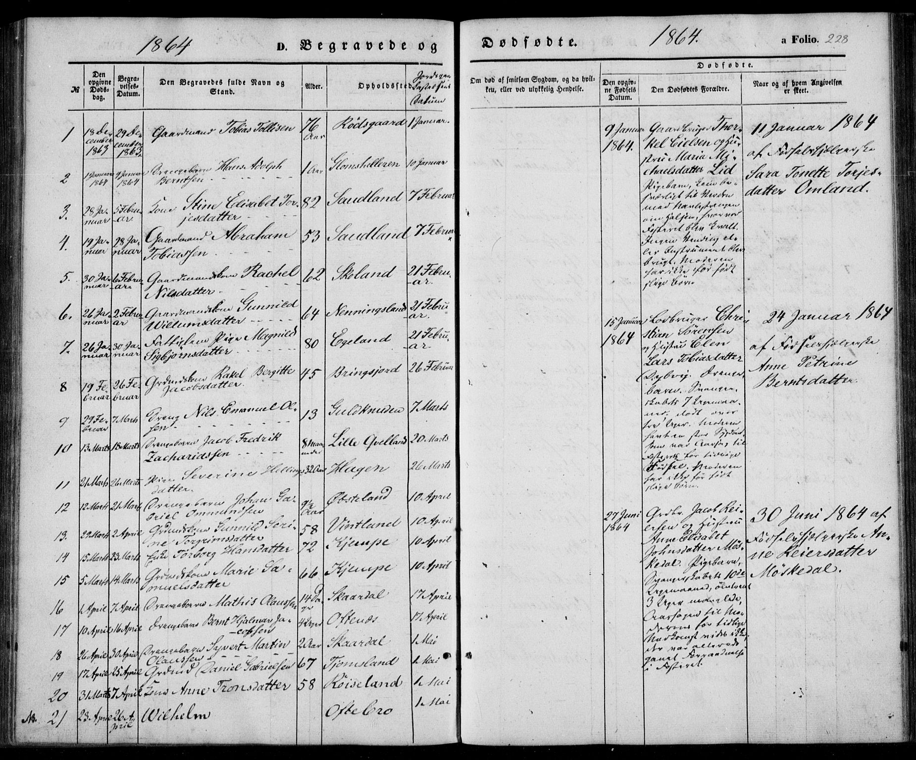 Lyngdal sokneprestkontor, SAK/1111-0029/F/Fa/Fac/L0009: Parish register (official) no. A 9, 1852-1864, p. 228