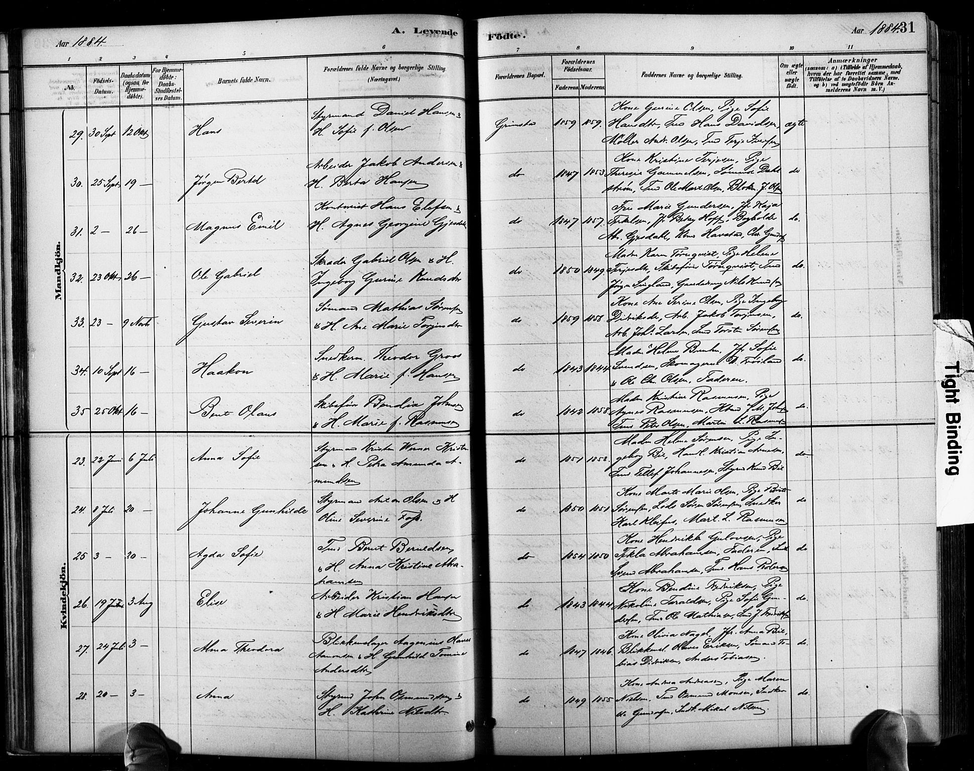 Grimstad sokneprestkontor, SAK/1111-0017/F/Fb/L0001: Parish register (copy) no. B 1, 1881-1922, p. 31