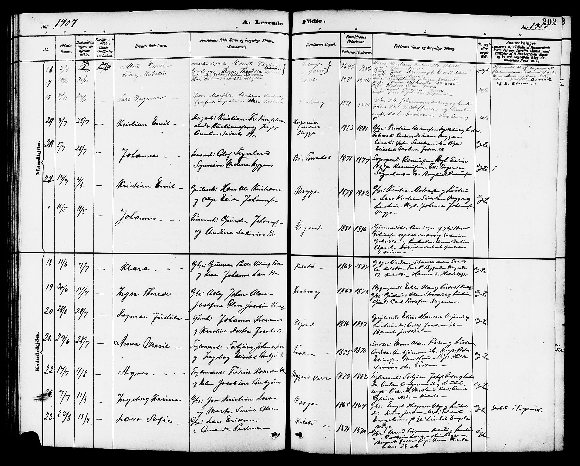 Avaldsnes sokneprestkontor, SAST/A -101851/H/Ha/Hab/L0007: Parish register (copy) no. B 7, 1885-1909, p. 202