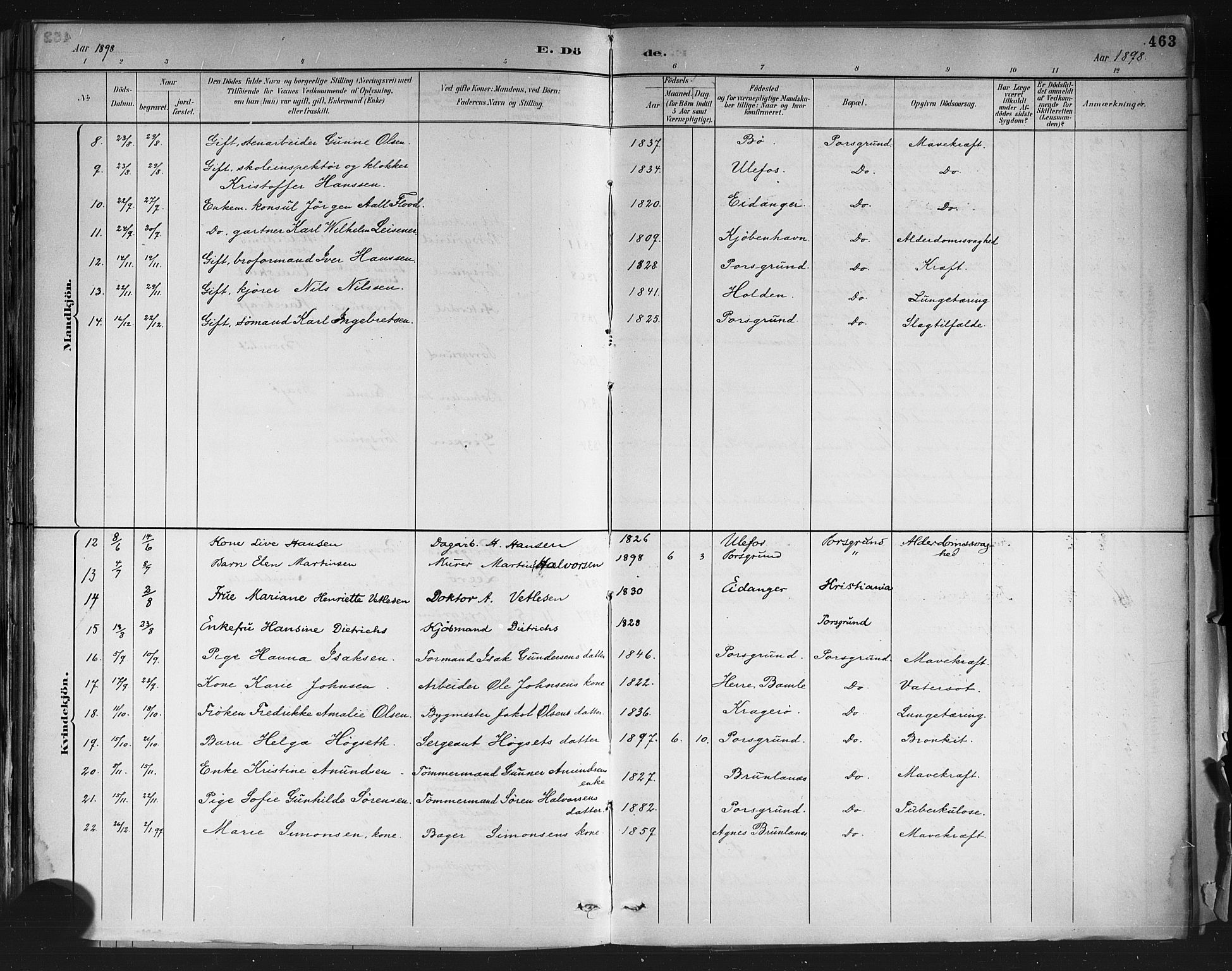 Porsgrunn kirkebøker , SAKO/A-104/G/Gb/L0005: Parish register (copy) no. II 5, 1883-1915, p. 463