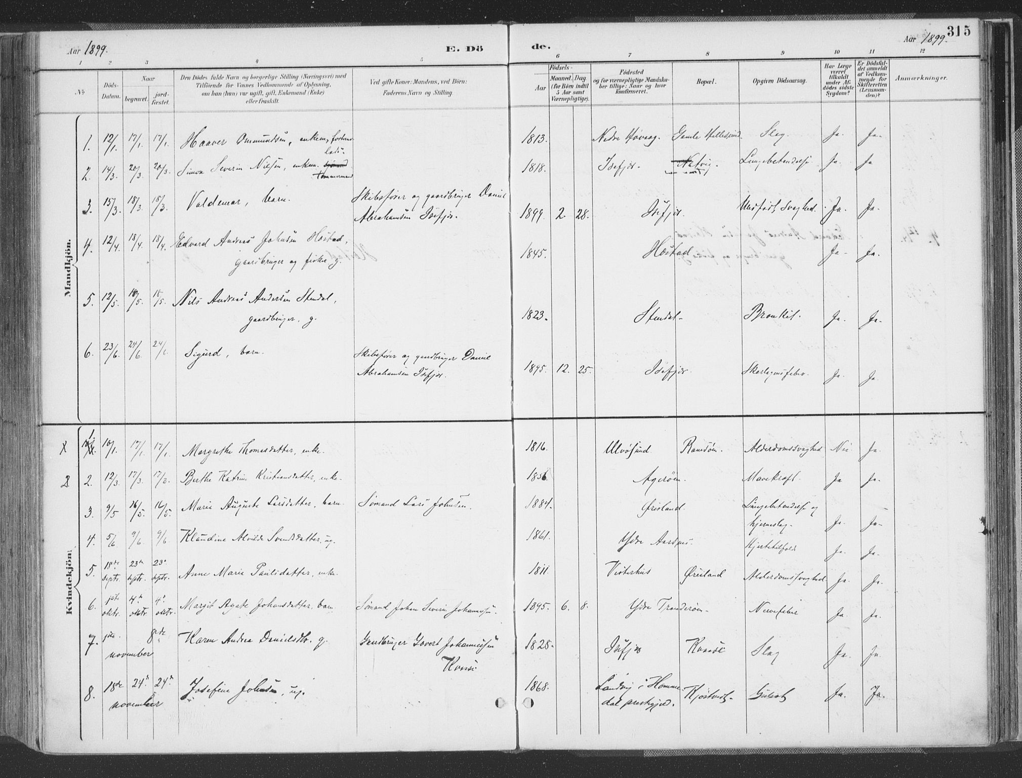 Høvåg sokneprestkontor, AV/SAK-1111-0025/F/Fa/L0006: Parish register (official) no. A 6, 1894-1923, p. 315