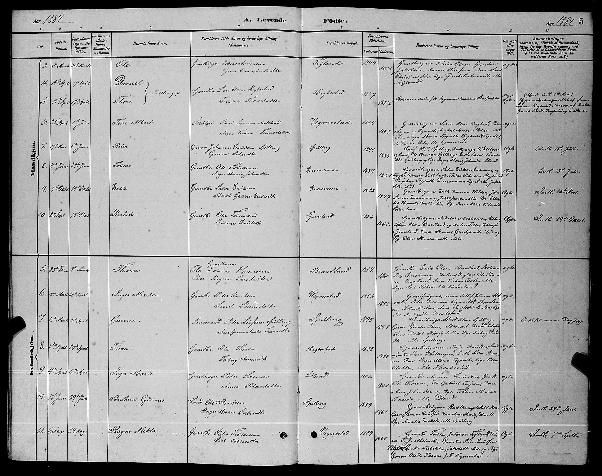 Nord-Audnedal sokneprestkontor, AV/SAK-1111-0032/F/Fb/Fbb/L0003: Parish register (copy) no. B 3, 1882-1900, p. 5