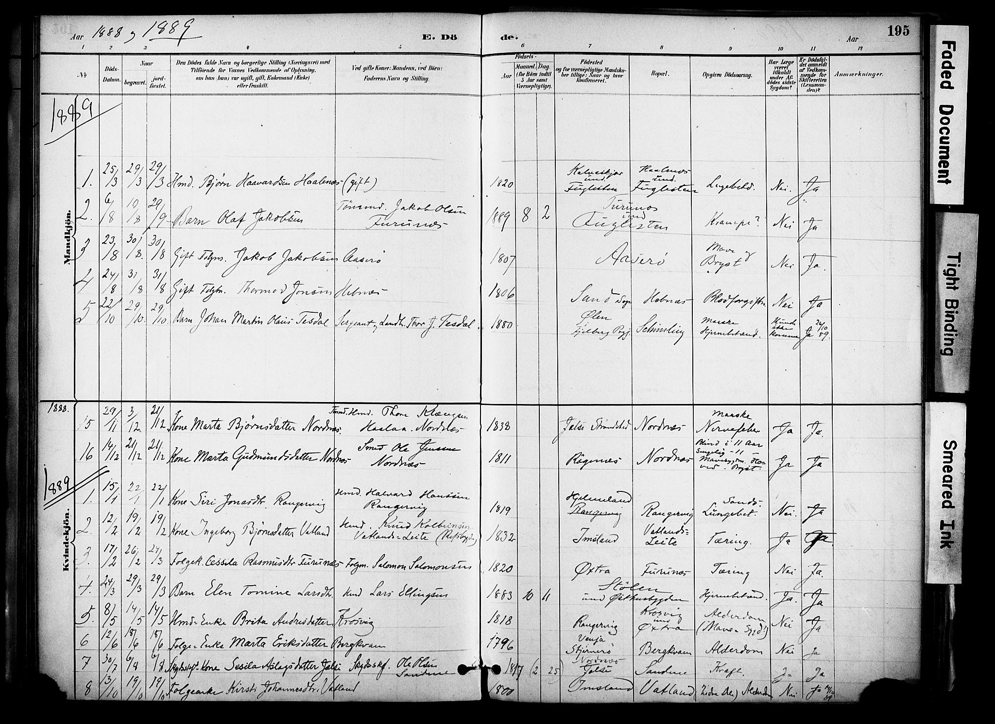 Jelsa sokneprestkontor, SAST/A-101842/01/IV: Parish register (official) no. A 10, 1884-1906, p. 195