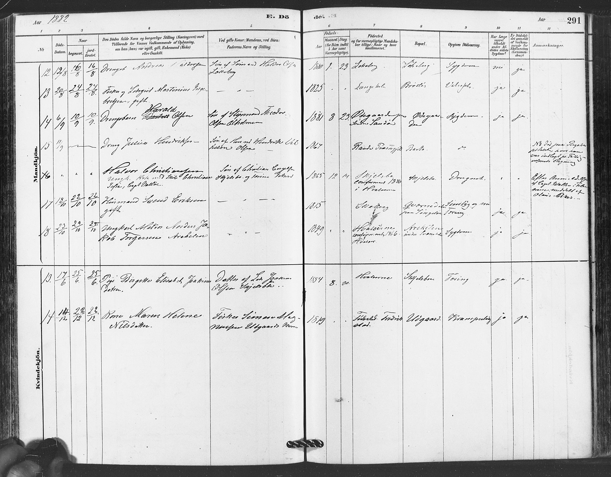 Hvaler prestekontor Kirkebøker, AV/SAO-A-2001/F/Fa/L0008: Parish register (official) no. I 8, 1878-1895, p. 291