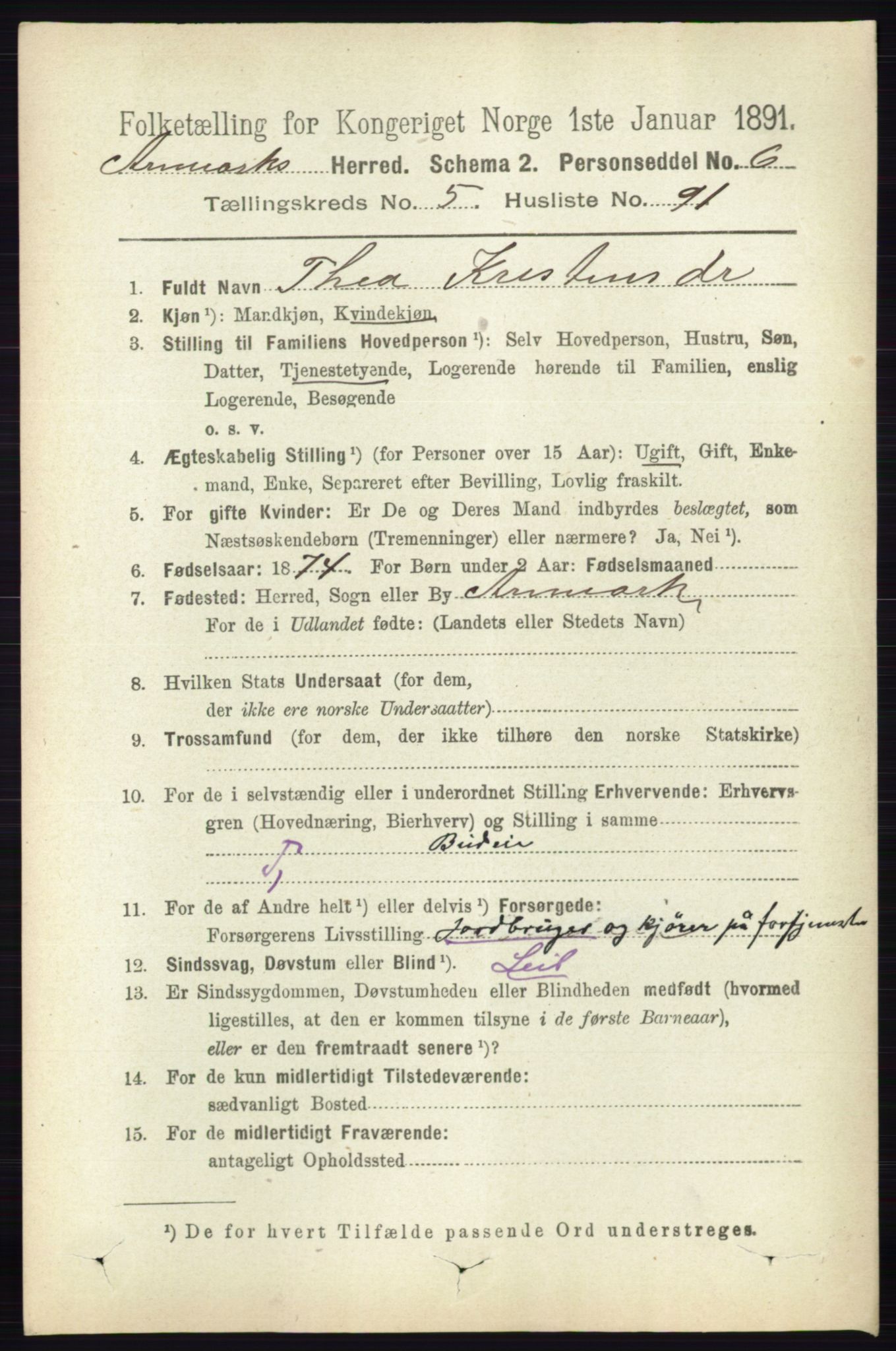 RA, 1891 census for 0118 Aremark, 1891, p. 2985