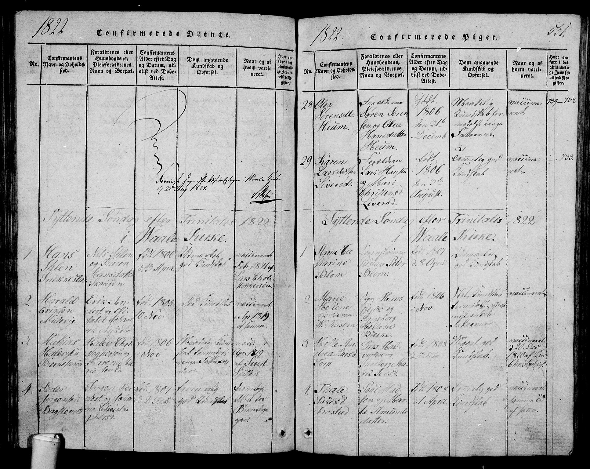 Våle kirkebøker, AV/SAKO-A-334/G/Ga/L0001: Parish register (copy) no. I 1, 1814-1824, p. 530-531