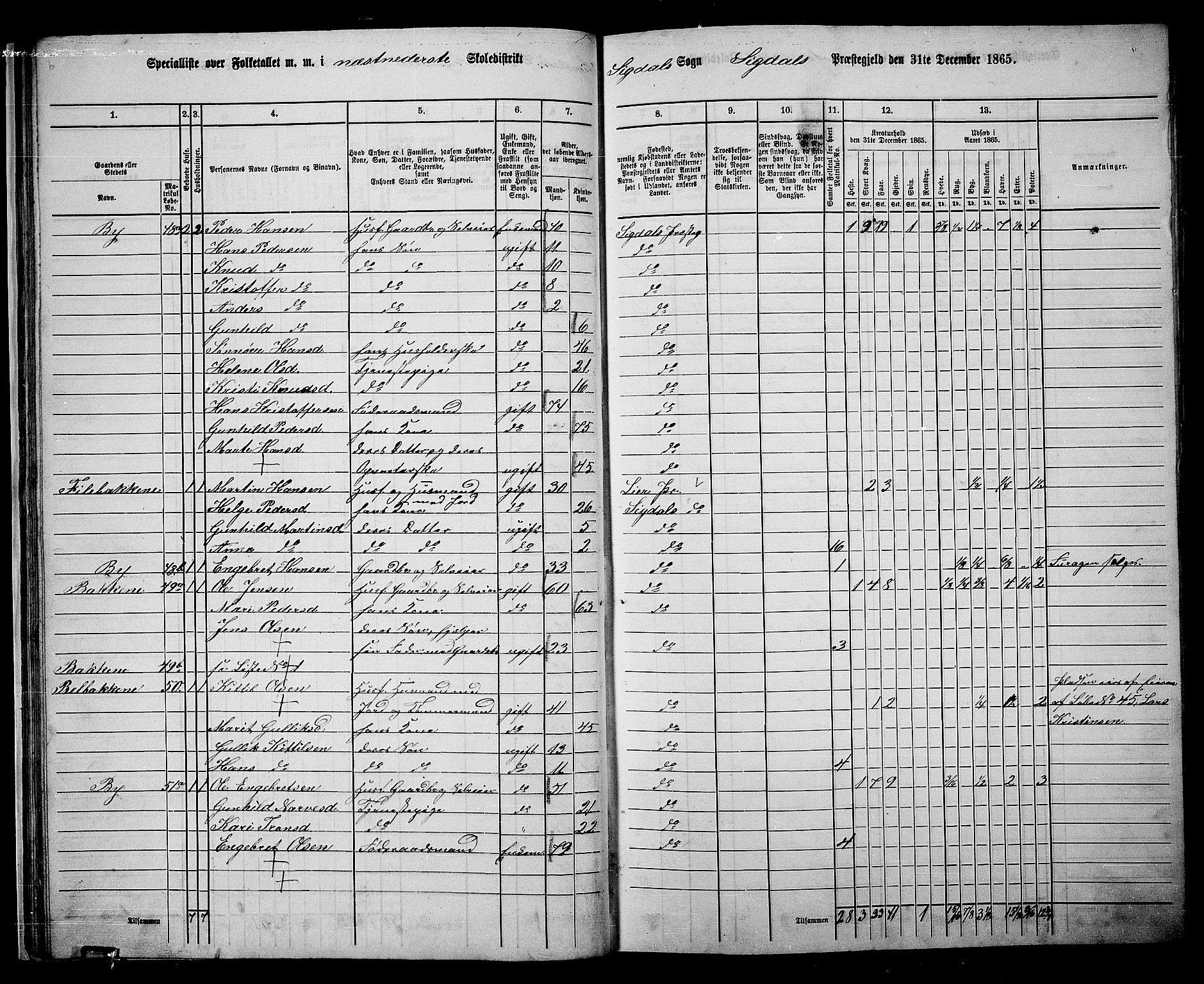 RA, 1865 census for Sigdal, 1865, p. 46