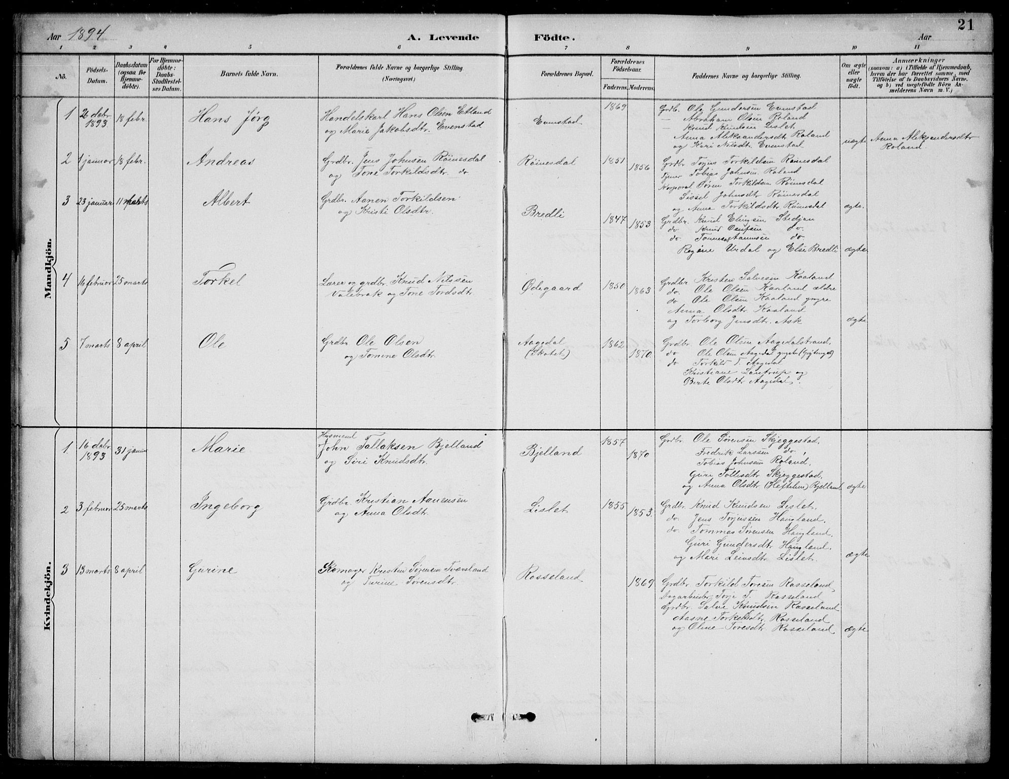 Bjelland sokneprestkontor, AV/SAK-1111-0005/F/Fb/Fba/L0005: Parish register (copy) no. B 5, 1887-1923, p. 21