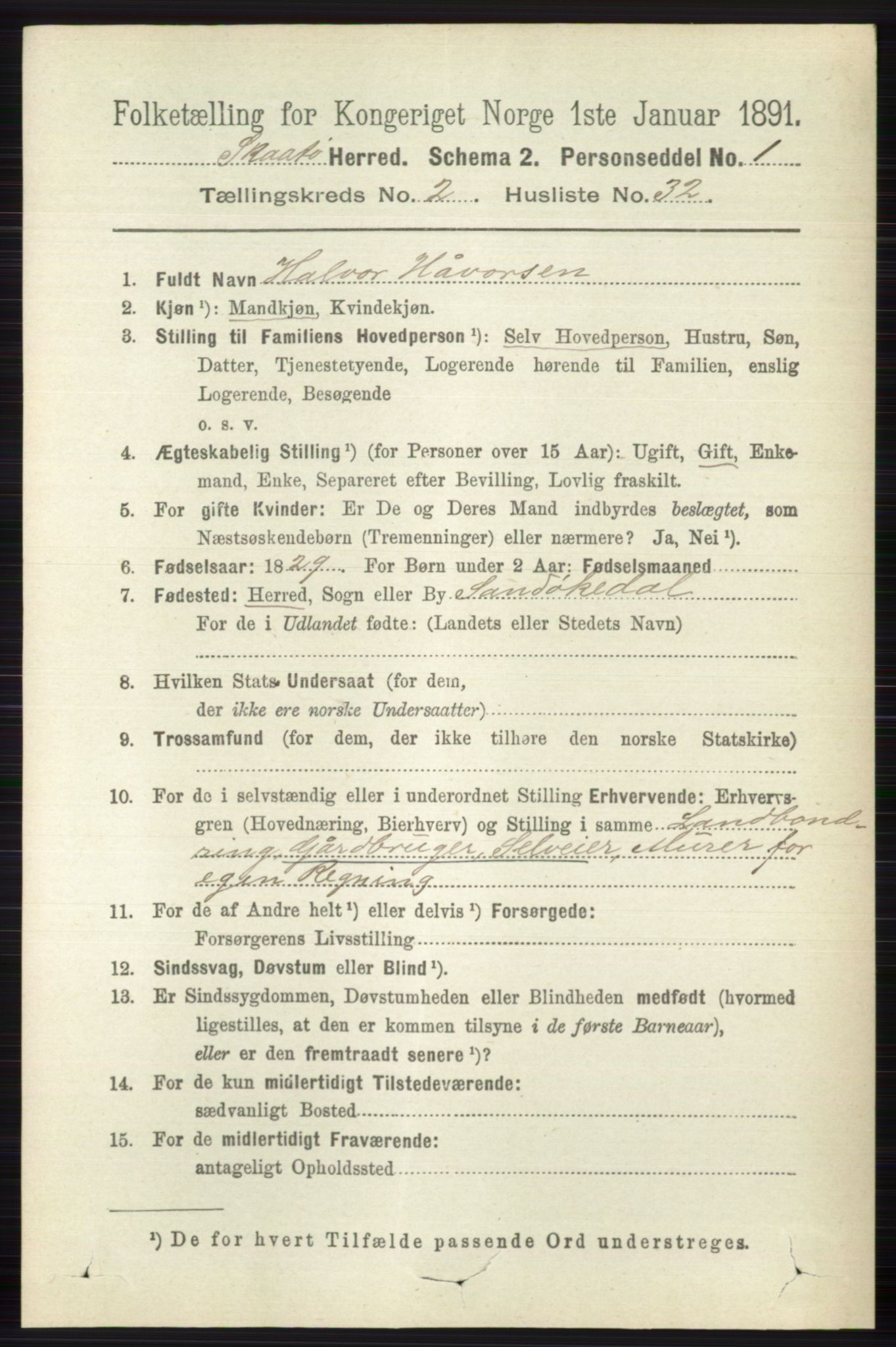 RA, 1891 census for 0815 Skåtøy, 1891, p. 598