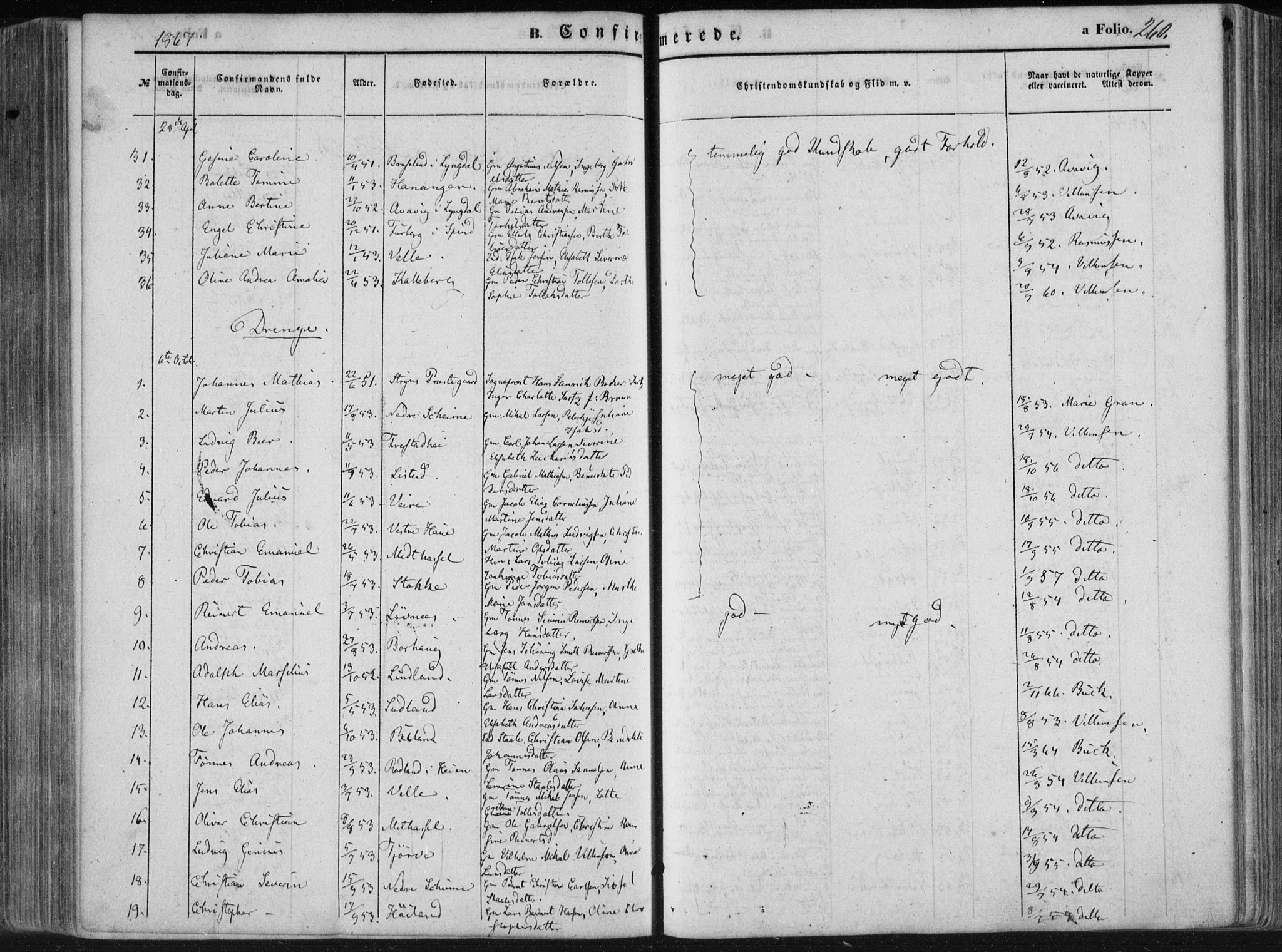 Lista sokneprestkontor, AV/SAK-1111-0027/F/Fa/L0011: Parish register (official) no. A 11, 1861-1878, p. 260