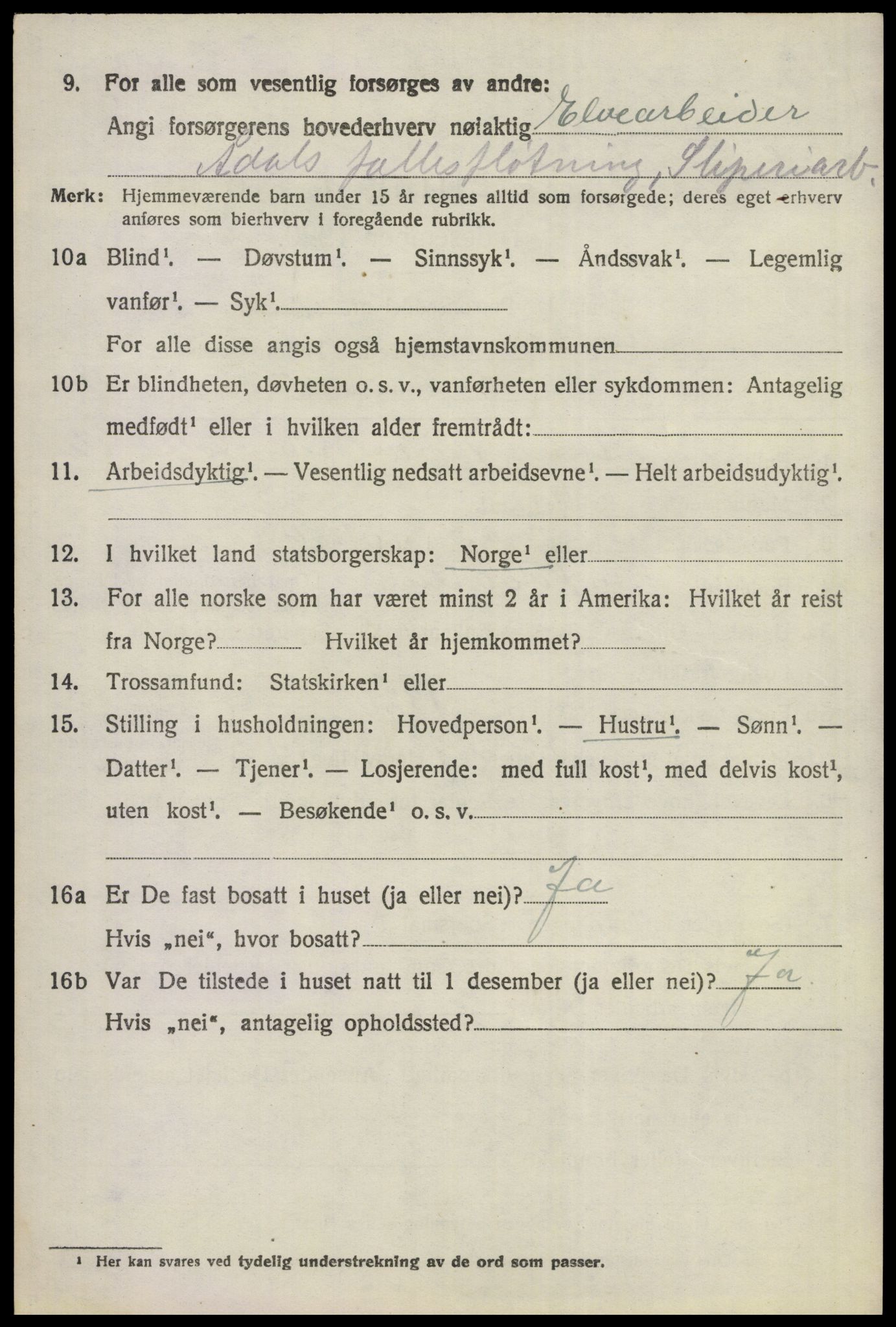 SAKO, 1920 census for Ådal, 1920, p. 3007