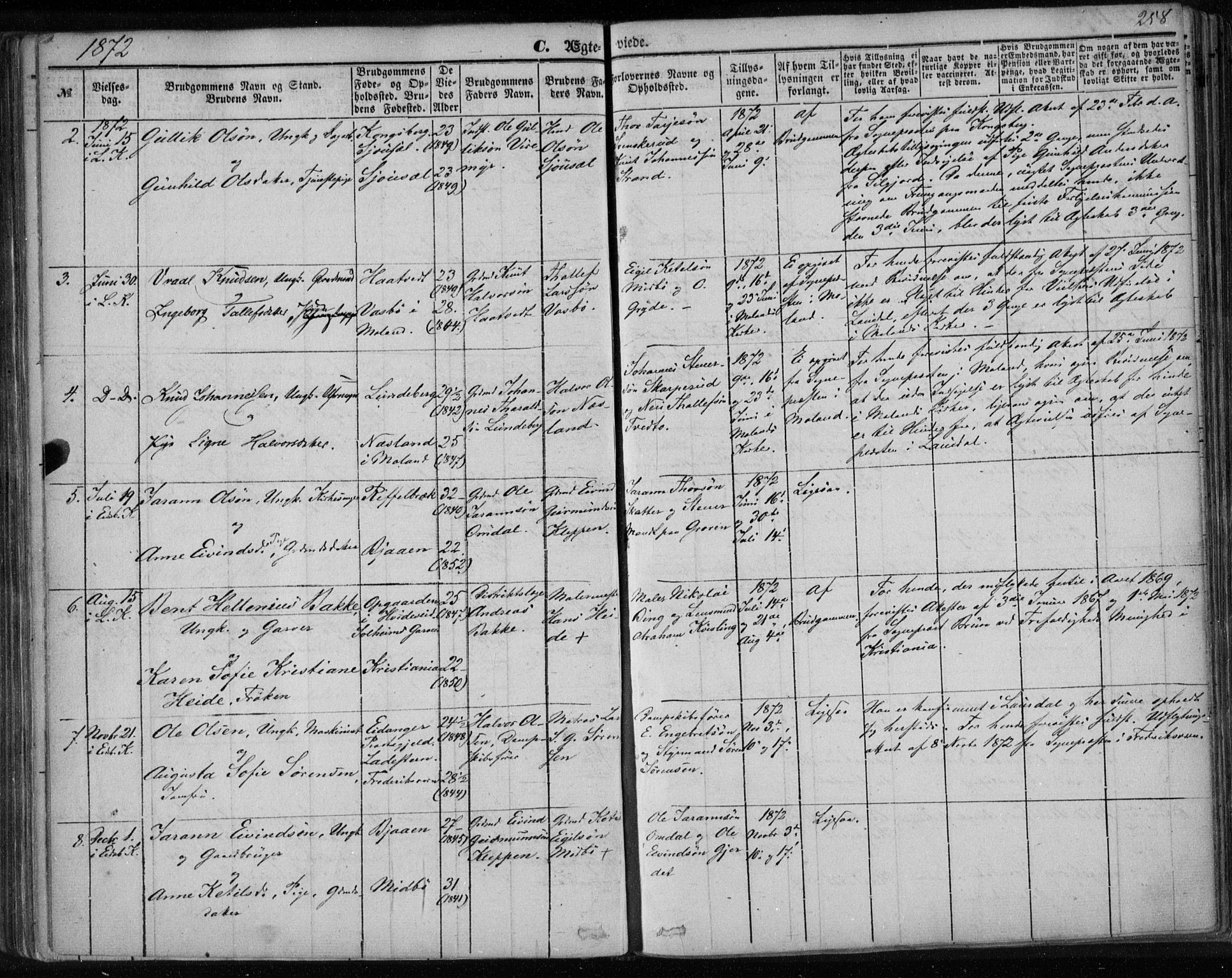 Lårdal kirkebøker, SAKO/A-284/F/Fa/L0006: Parish register (official) no. I 6, 1861-1886, p. 258