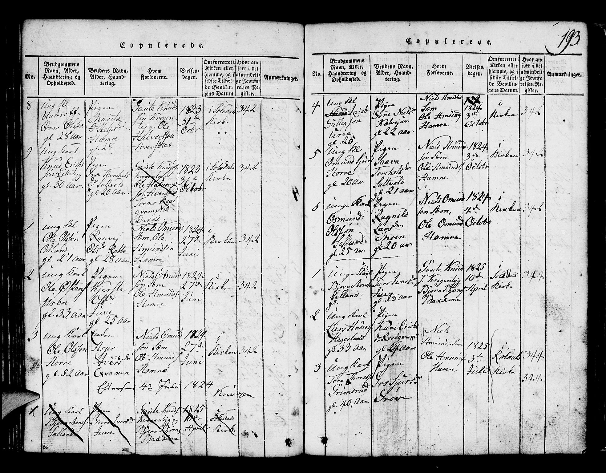 Røldal sokneprestembete, SAB/A-100247: Parish register (copy) no. A 1, 1817-1860, p. 193