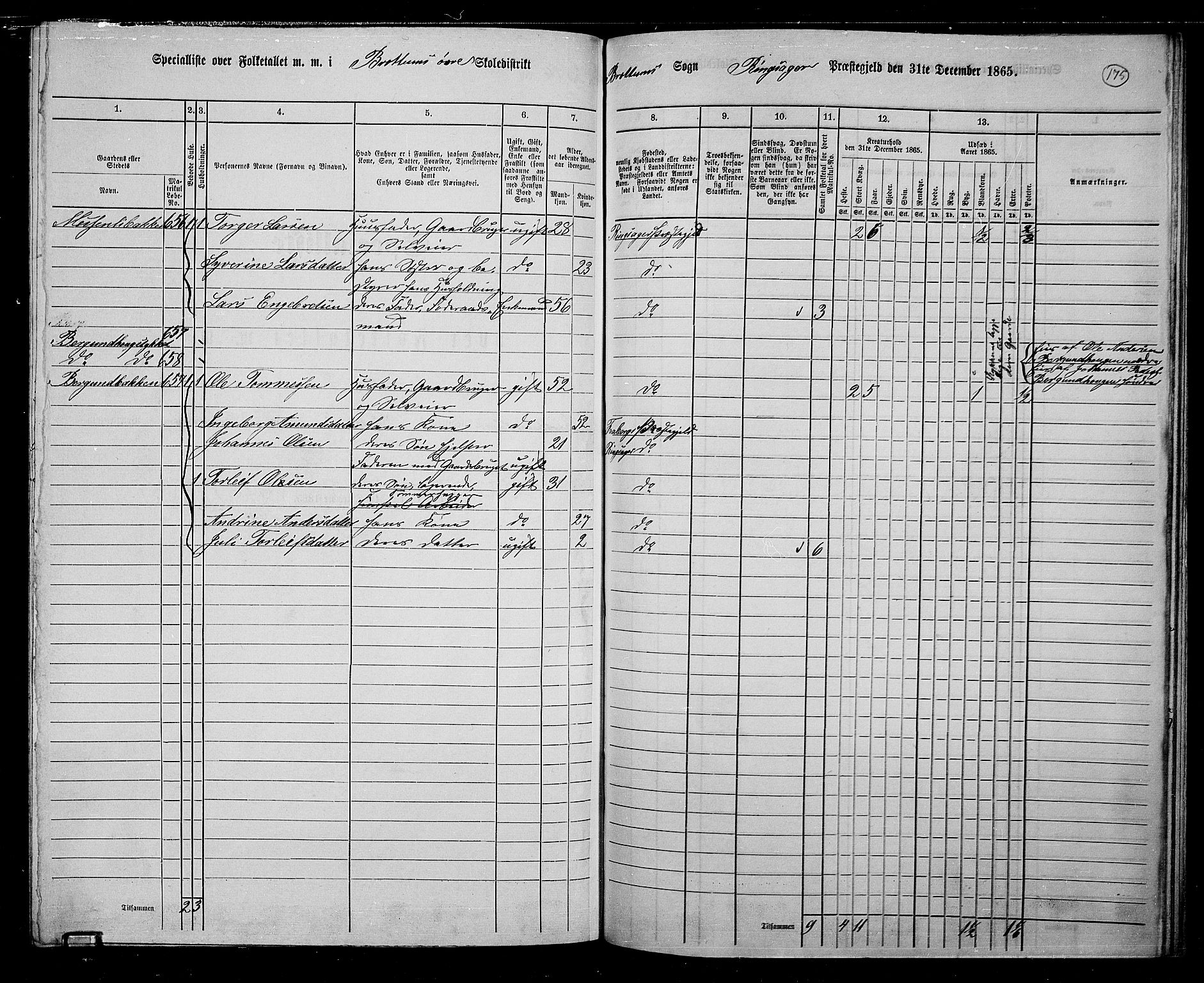 RA, 1865 census for Ringsaker, 1865, p. 419