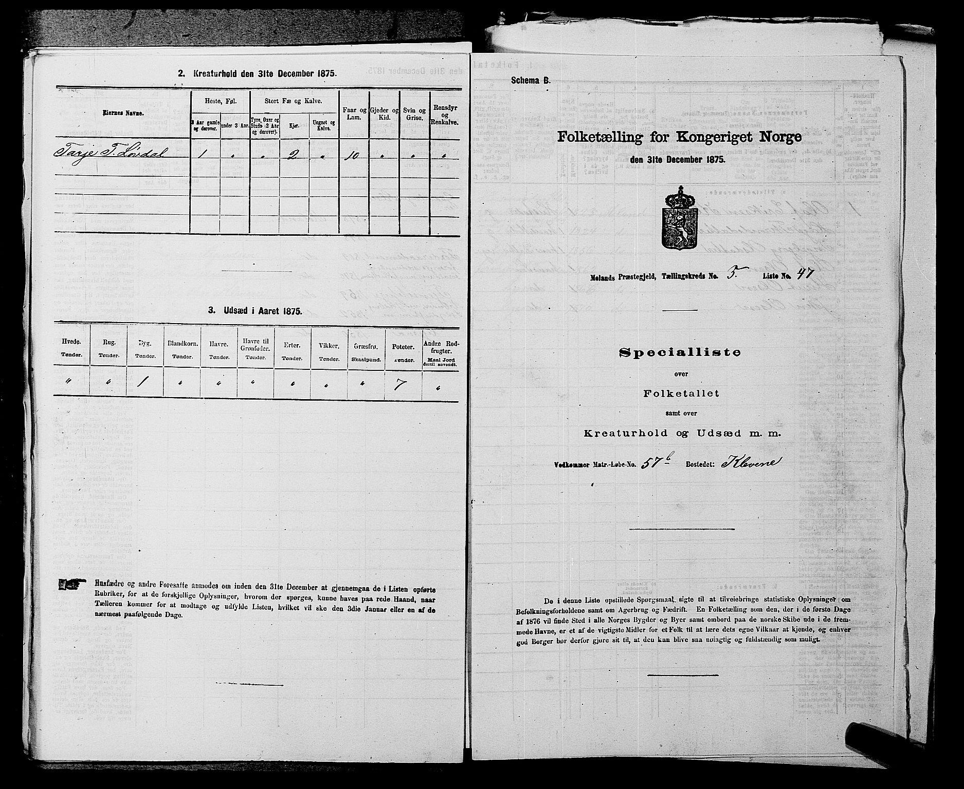 SAKO, 1875 census for 0831P Moland, 1875, p. 536