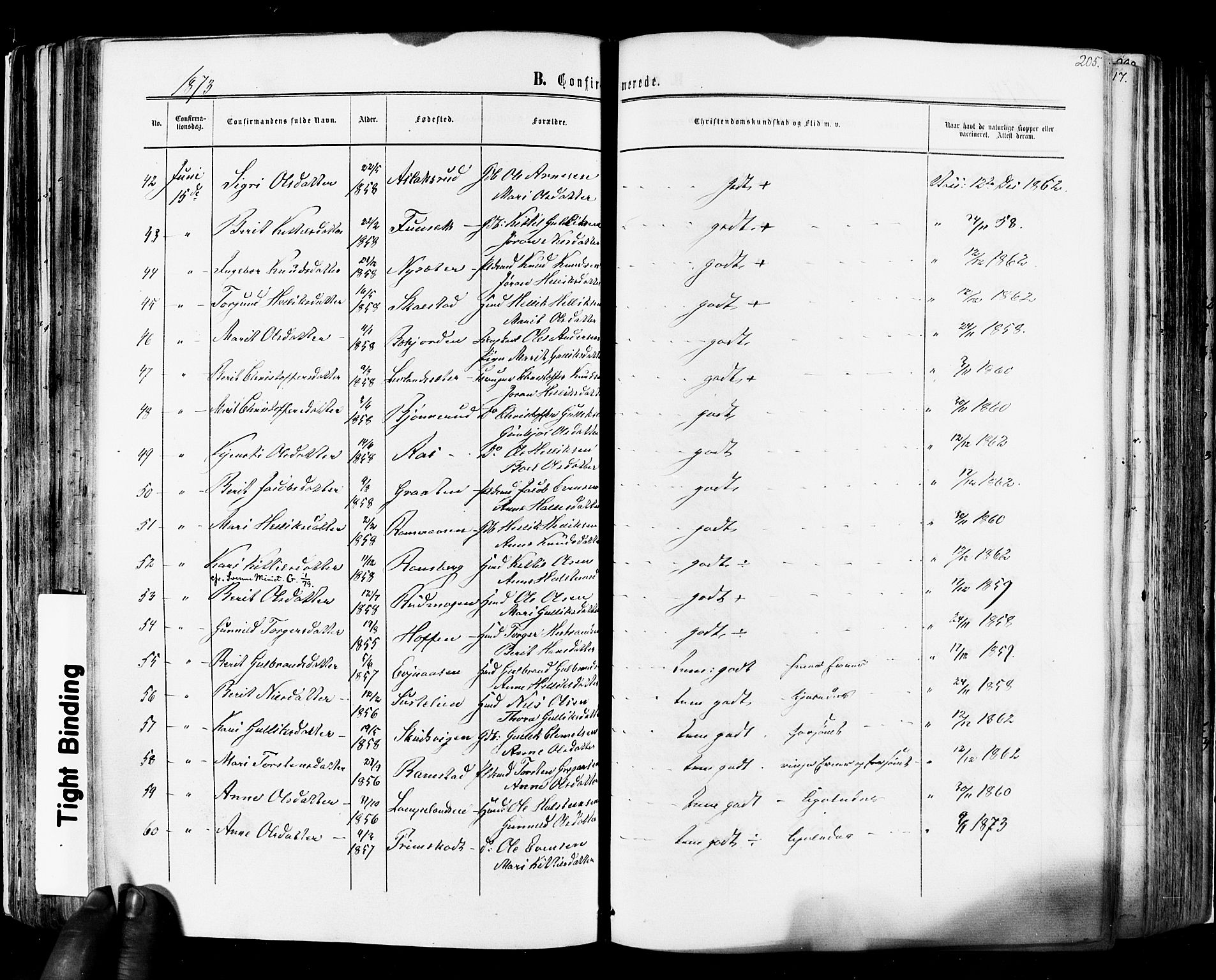 Flesberg kirkebøker, AV/SAKO-A-18/F/Fa/L0007: Parish register (official) no. I 7, 1861-1878, p. 205