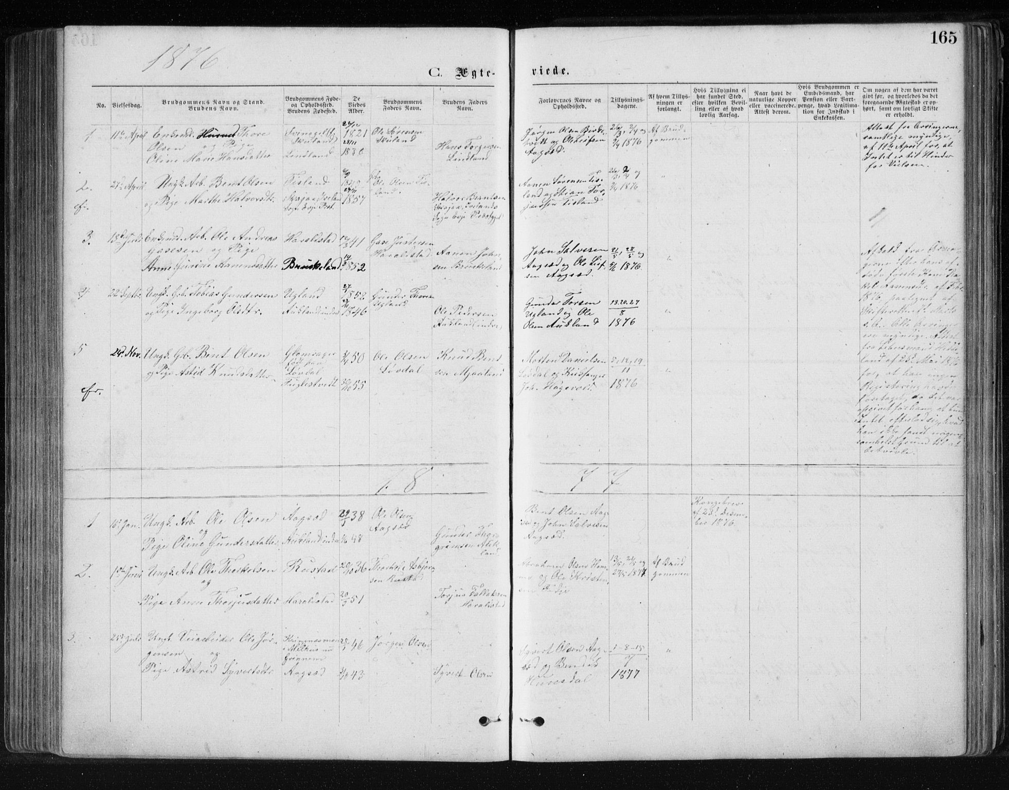 Holum sokneprestkontor, AV/SAK-1111-0022/F/Fb/Fbb/L0003: Parish register (copy) no. B 3, 1875-1898, p. 165