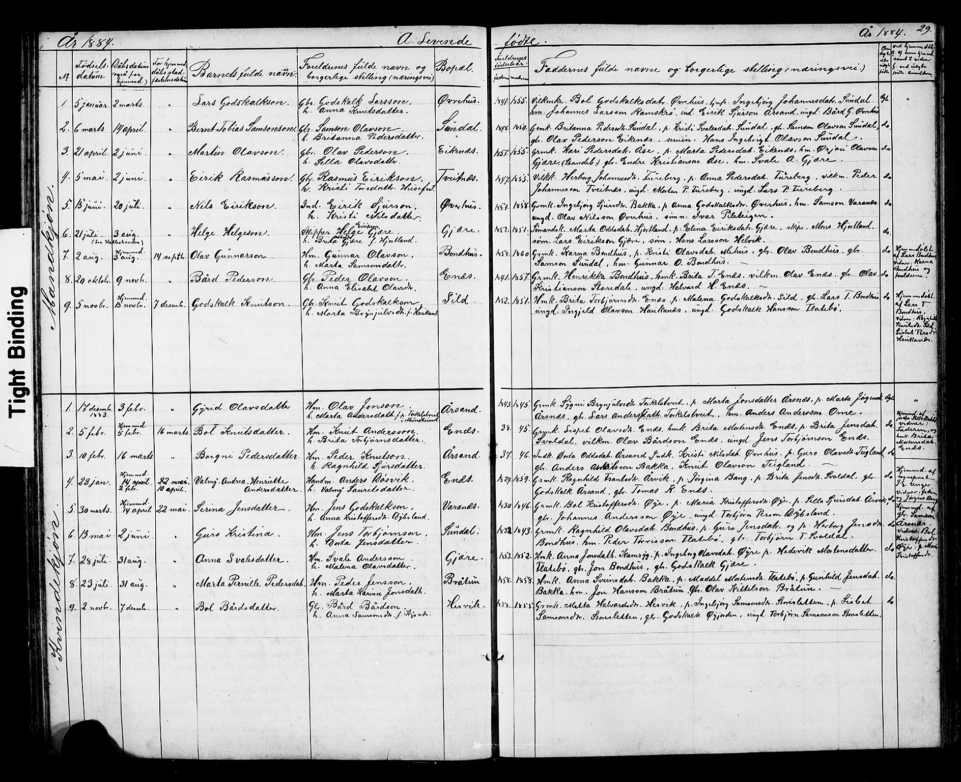 Kvinnherad sokneprestembete, SAB/A-76401/H/Hab: Parish register (copy) no. D 1, 1856-1905, p. 29