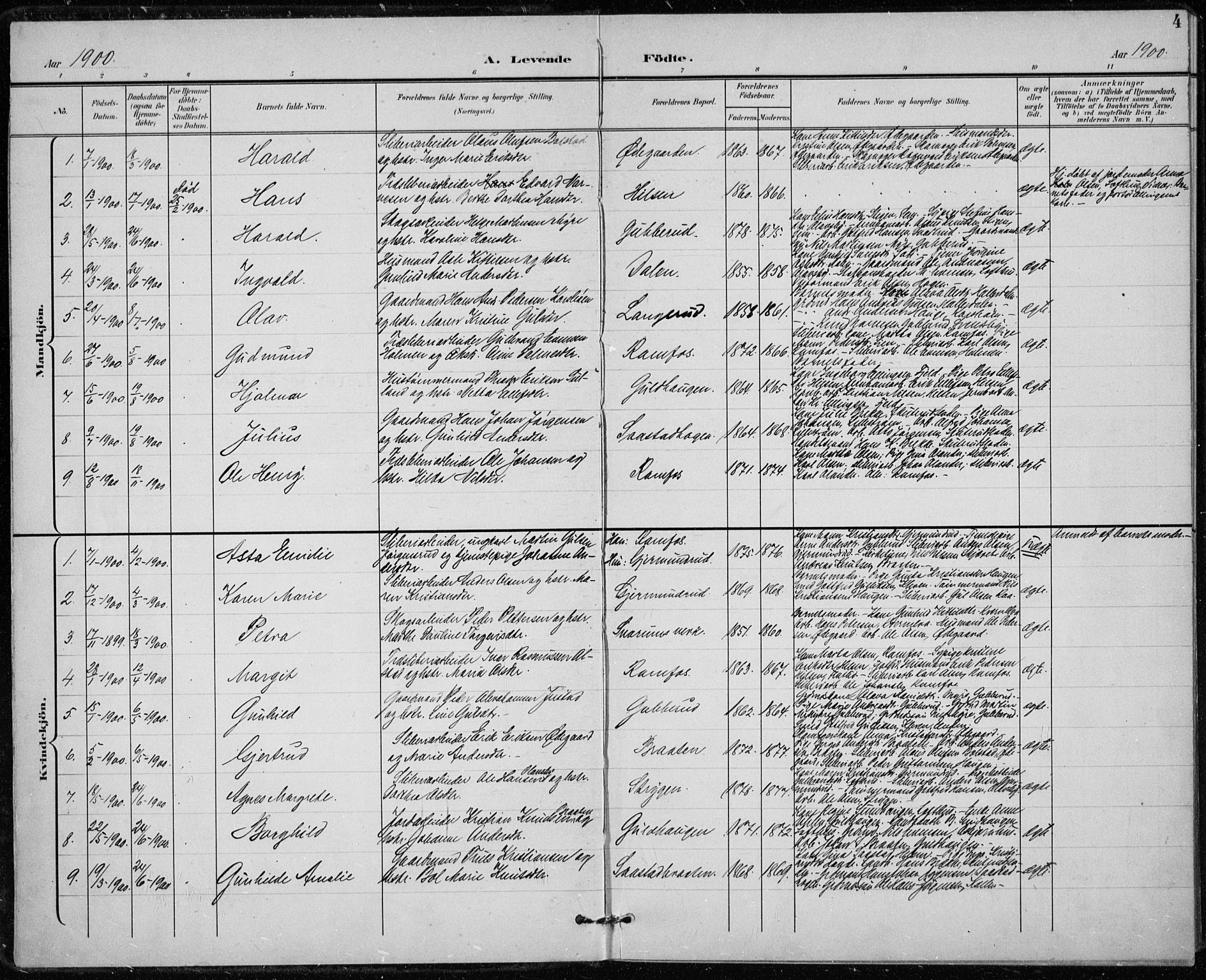 Modum kirkebøker, AV/SAKO-A-234/F/Fa/L0020: Parish register (official) no. 20, 1900-1917, p. 4