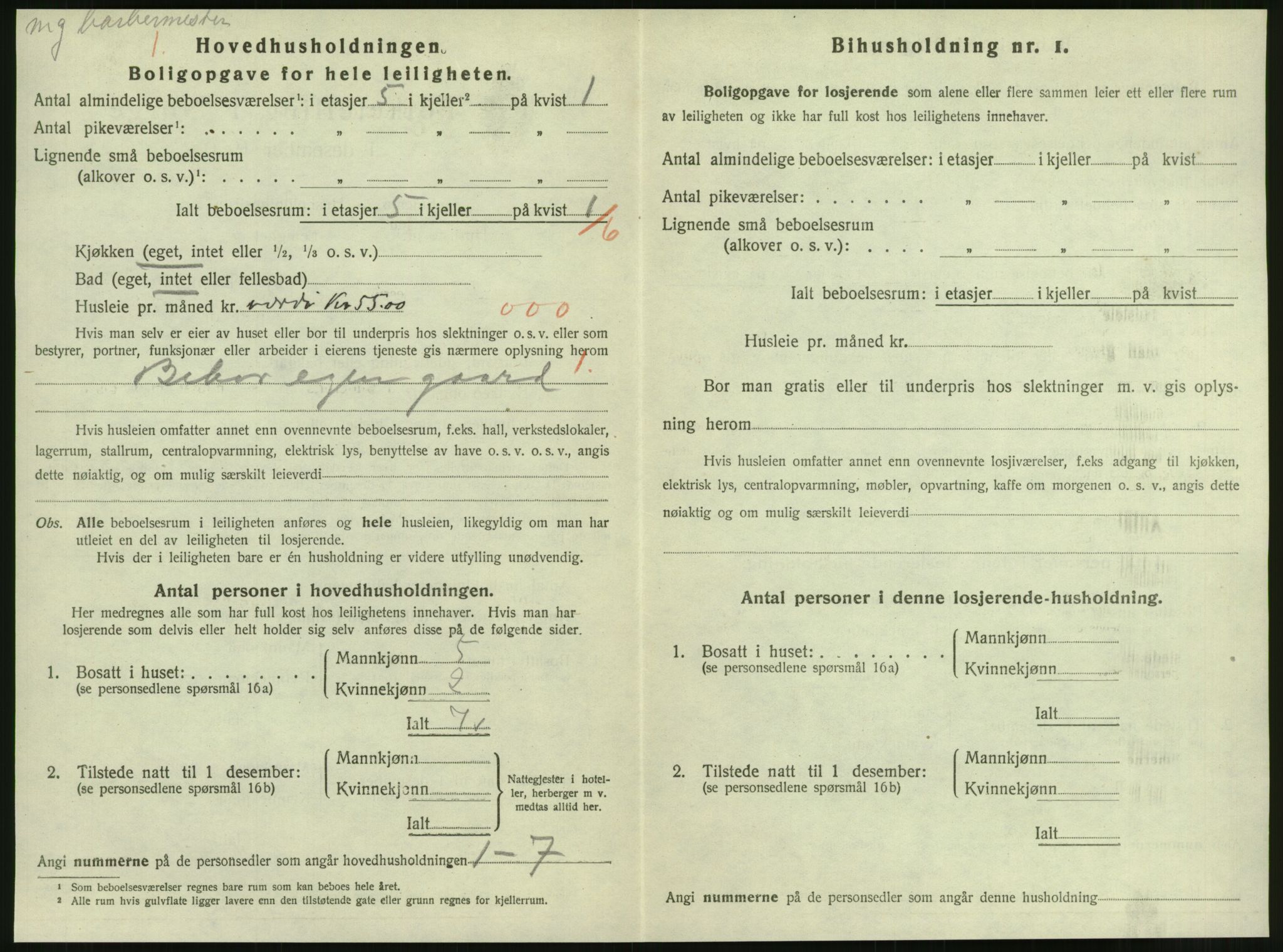 SAT, 1920 census for Steinkjer, 1920, p. 1355